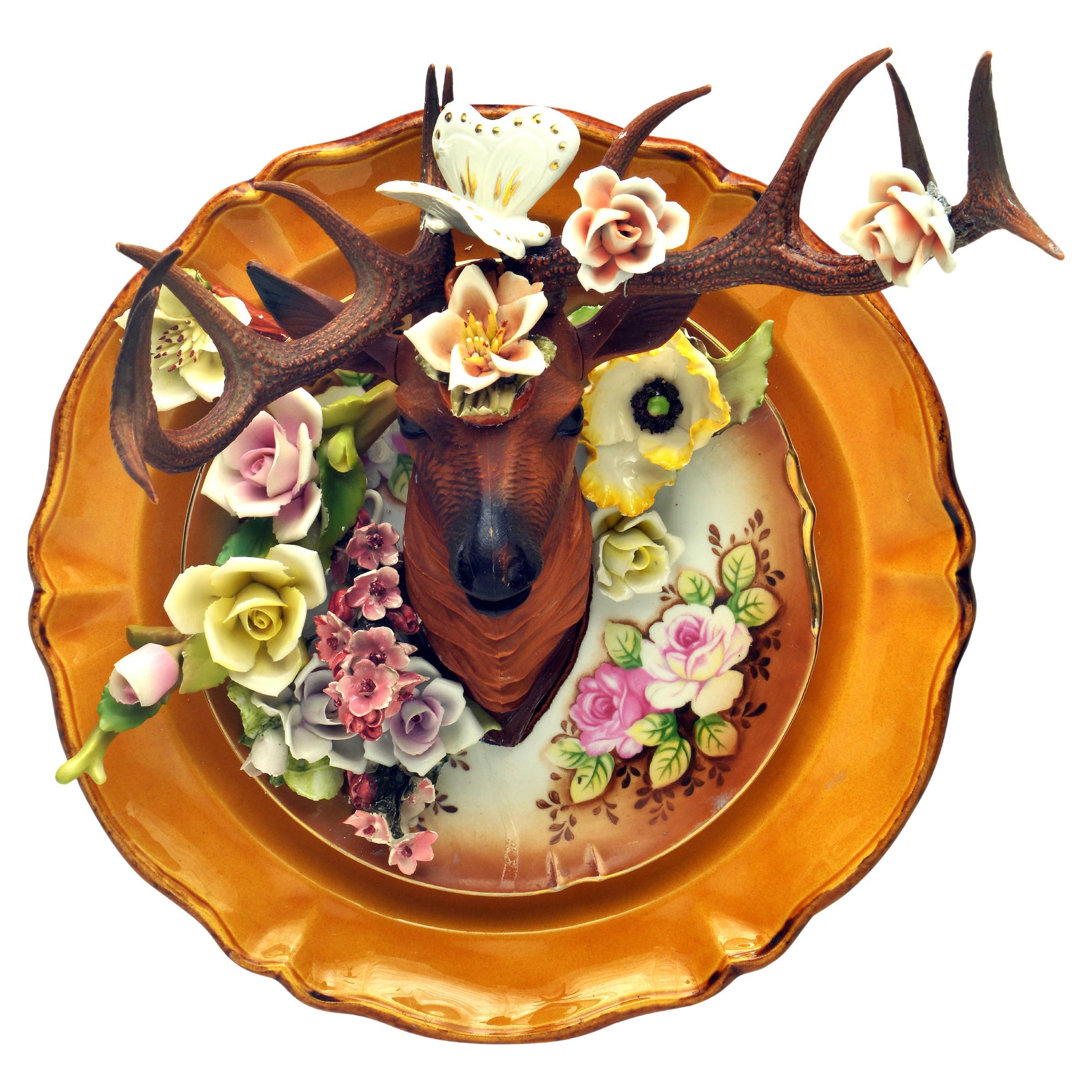 bambi prima cotta in vendita