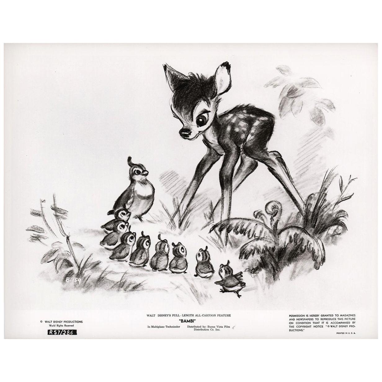 Bambi R1957 U.S. Silver Gelatin Single-Weight Photo