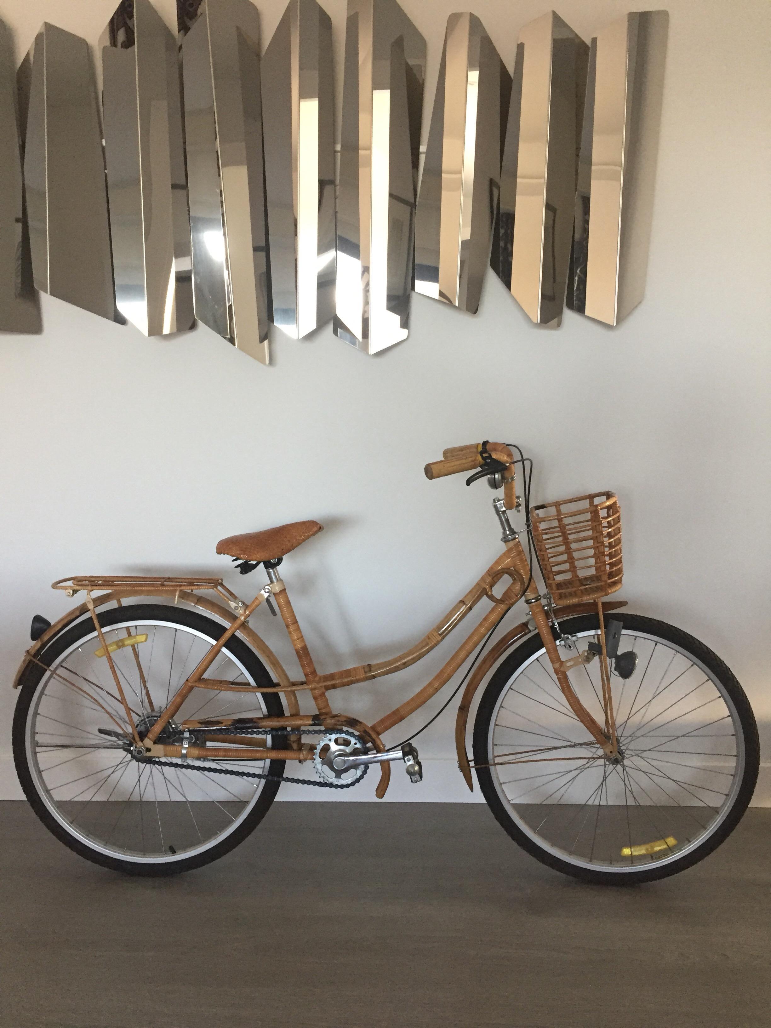 Metal Bamboo and Rattan Bicycle