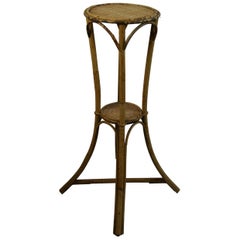 Bamboo and Rattan Plant Stand /Pedestal