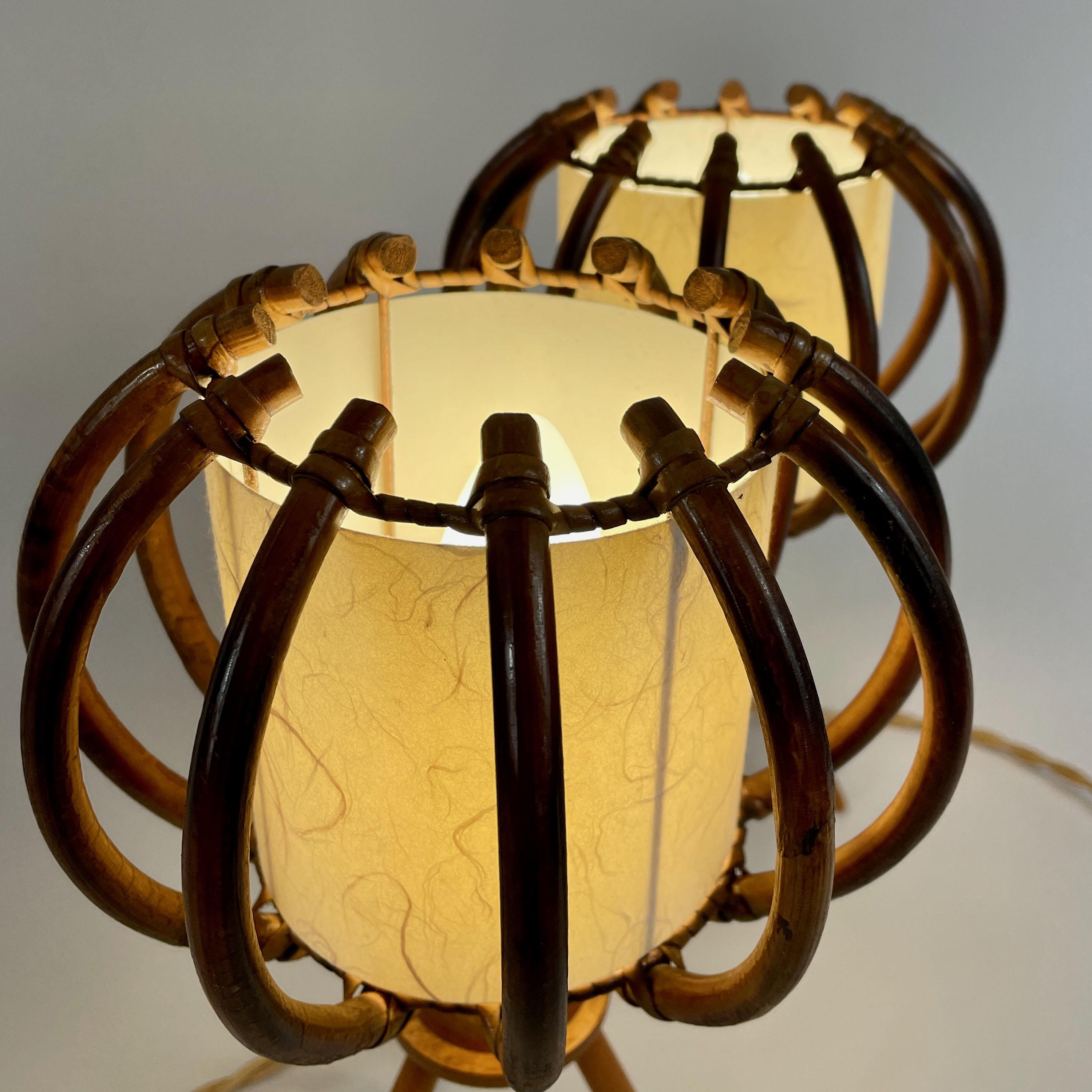 Lampade da tavolo a treppiede in bambù, betulla e pergamena, Francia, anni '50 in vendita 3