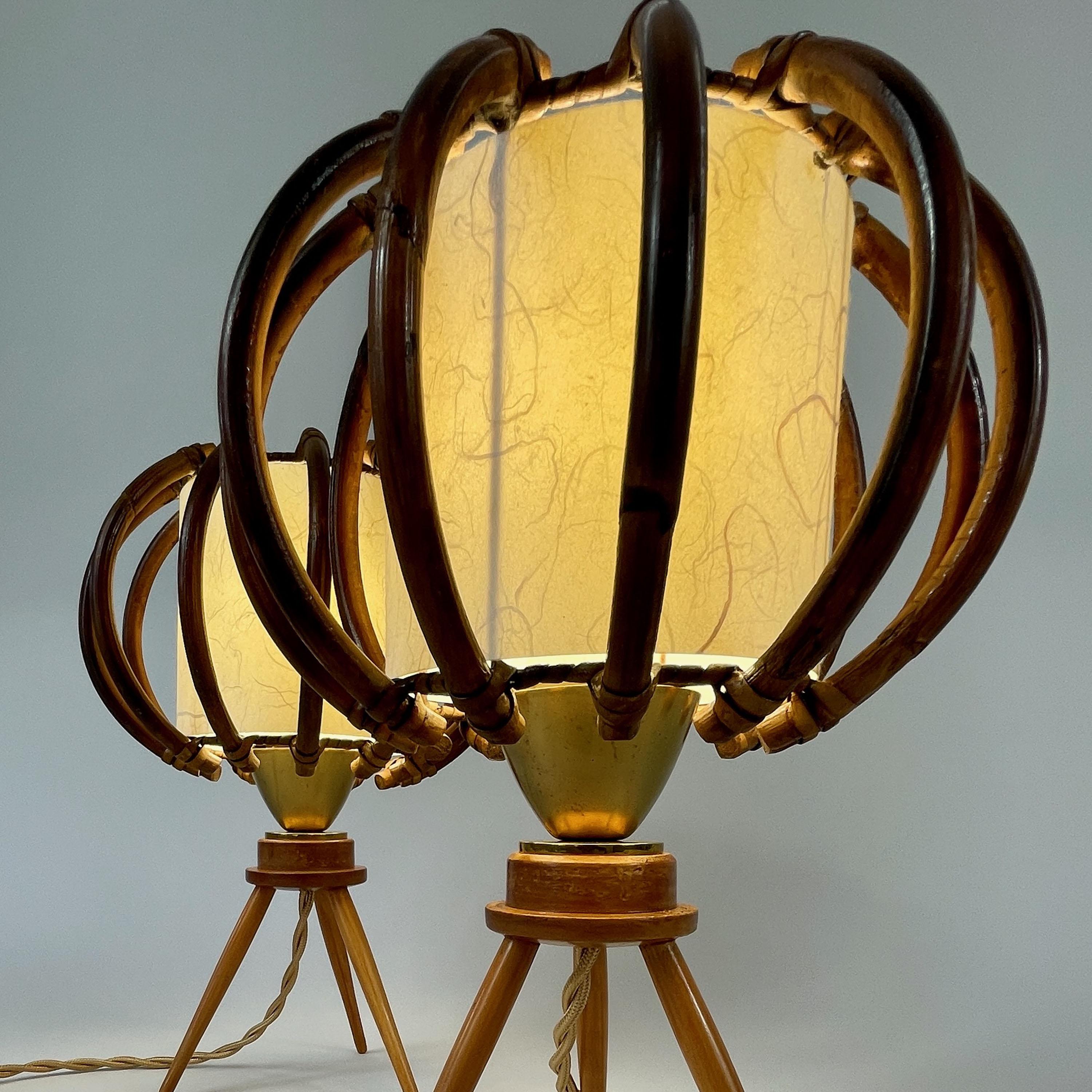 Lampade da tavolo a treppiede in bambù, betulla e pergamena, Francia, anni '50 in vendita 6