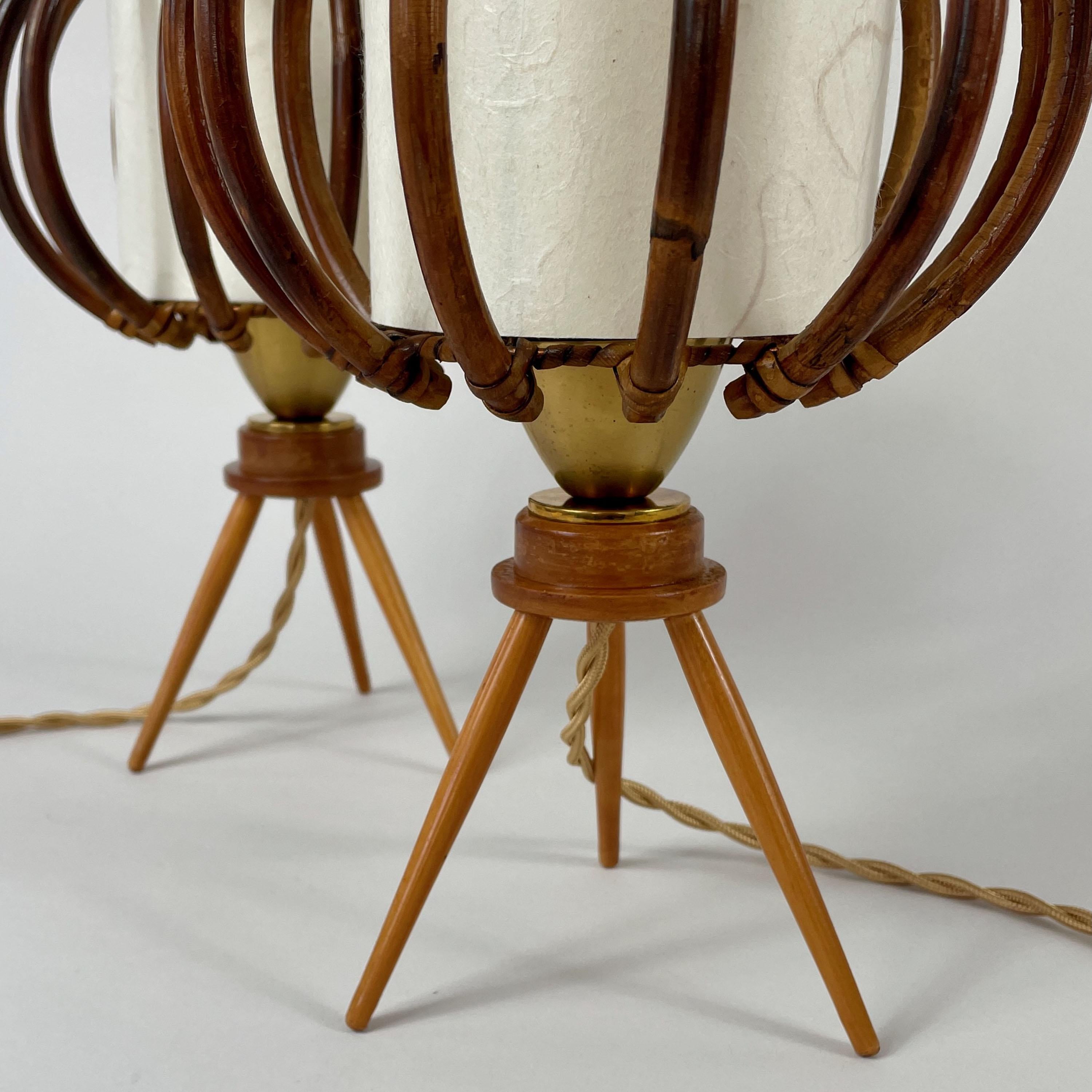 Lampade da tavolo a treppiede in bambù, betulla e pergamena, Francia, anni '50 in vendita 8