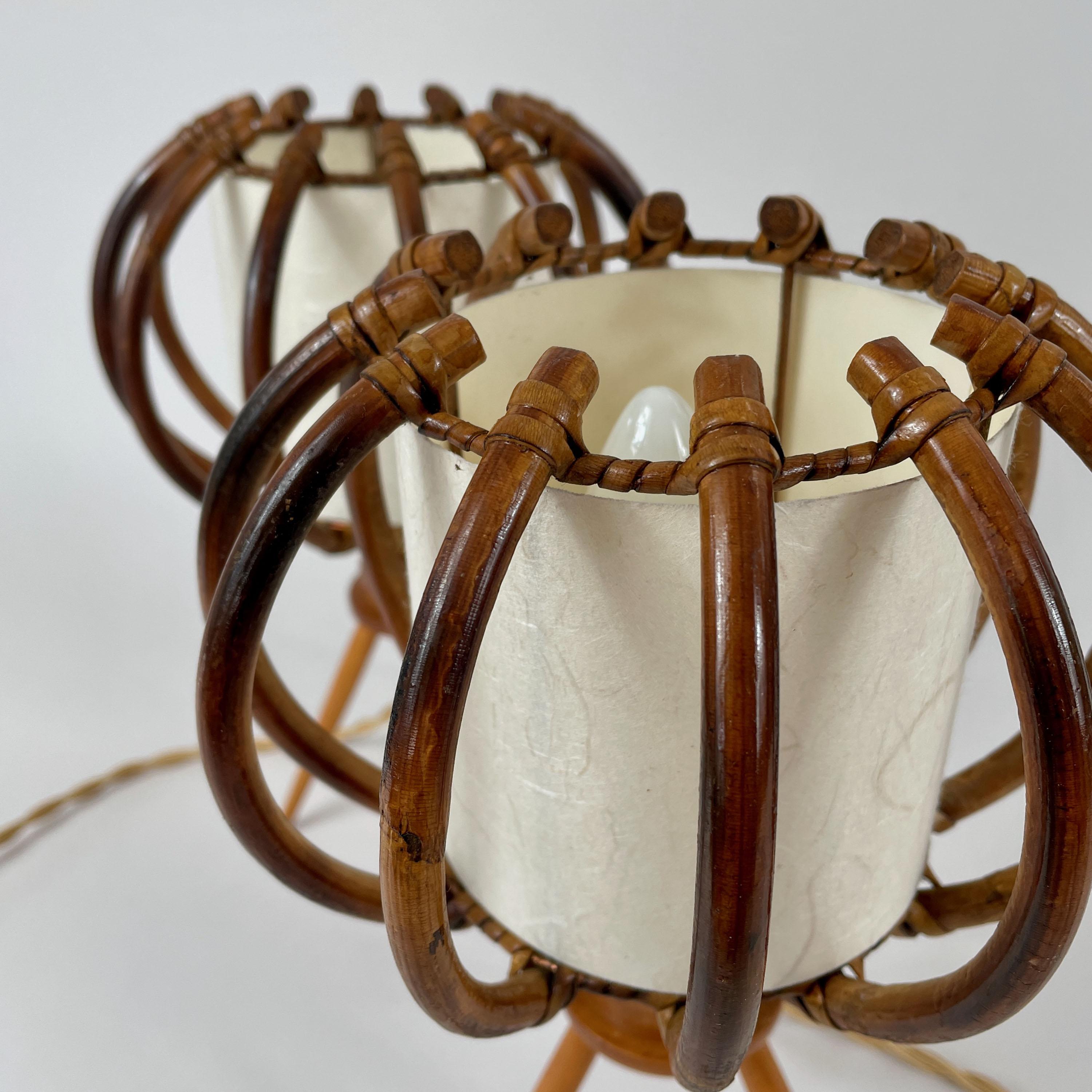 Lampade da tavolo a treppiede in bambù, betulla e pergamena, Francia, anni '50 in vendita 9