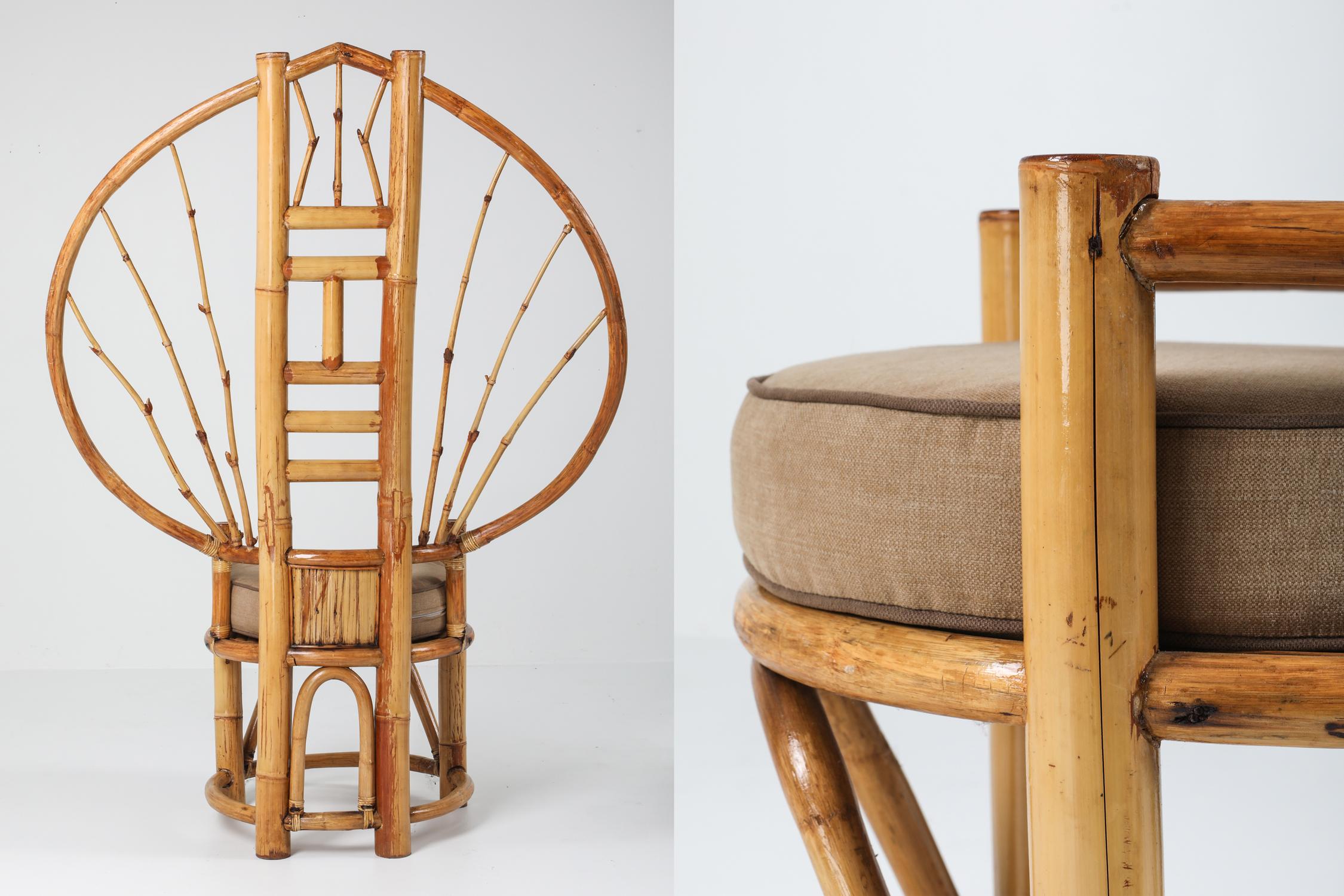 Bamboo Peacock Chairs in the Style of Albini 6