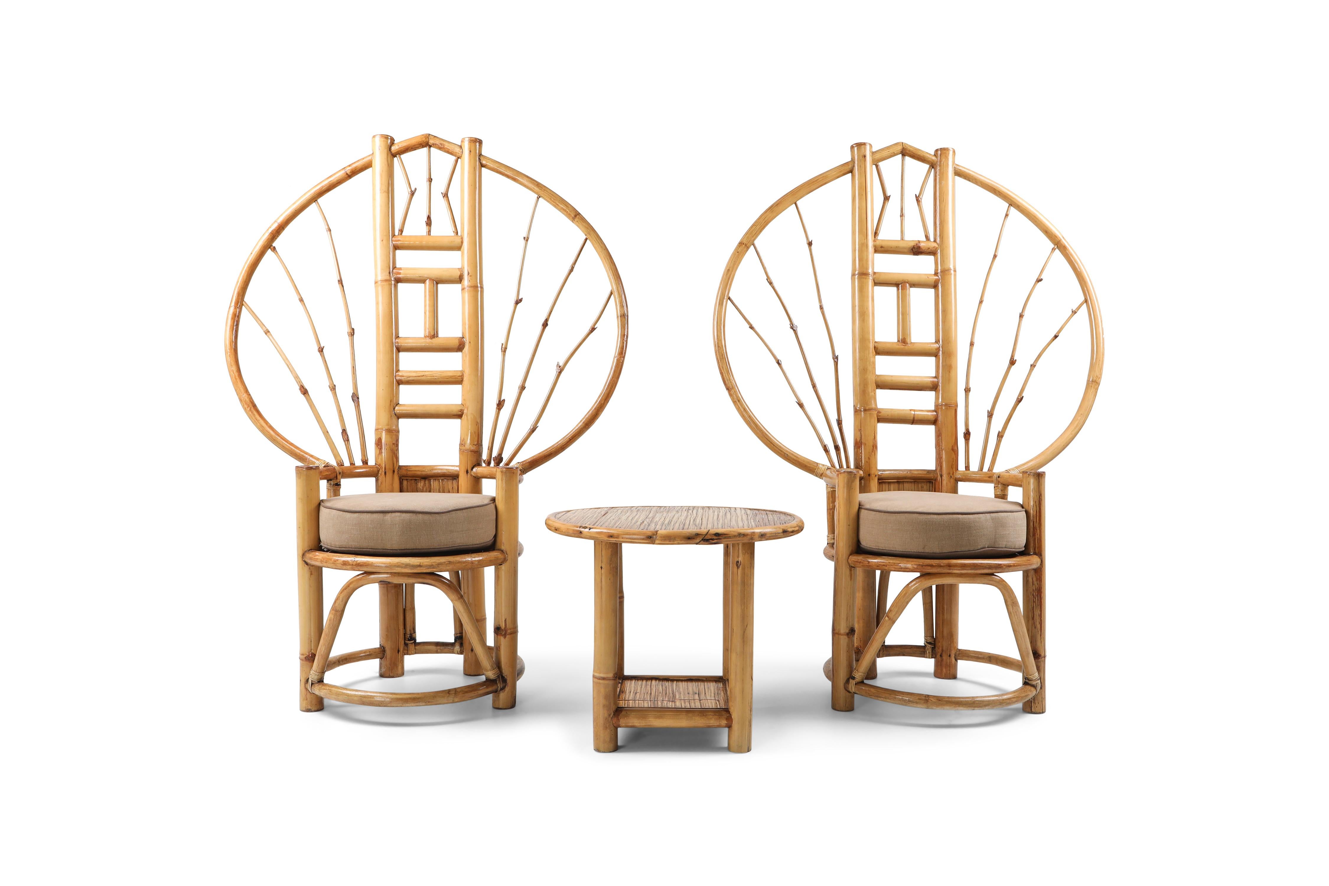 Bamboo Peacock Chairs in the Style of Albini 3