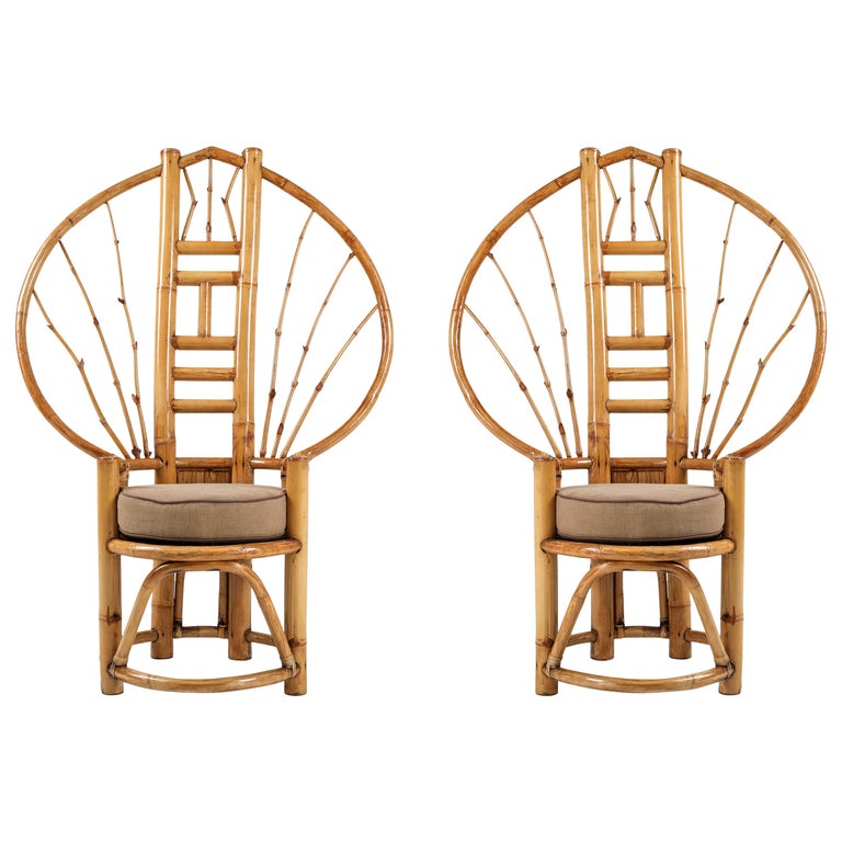 Bamboo Peacock Chairs in the Style of Albini 1