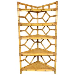 Vintage Bamboo Rattan Corner Cupboard Bookcase Attributed to Vivai Del Sud Italy, 1970s 