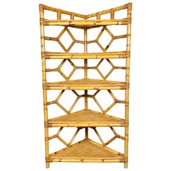 Retro Bamboo Rattan Corner Cupboard Bookcase Attributed to Vivai Del Sud Italy, 1970s 