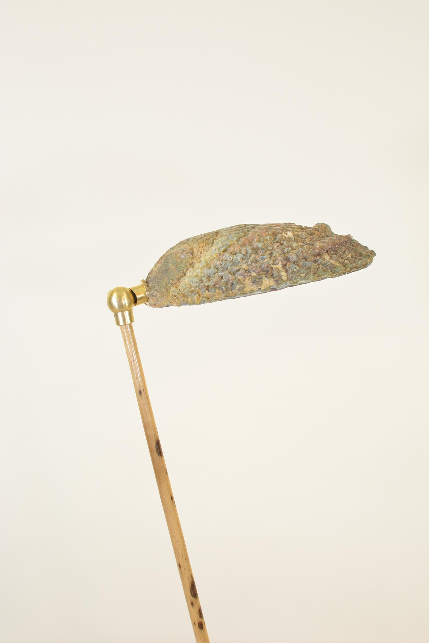 Brass Bamboo Task Lamp with Coiled Leather Base and Natural Abalone Shell Shade For Sale