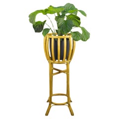 Bambus Weide Rattan Pflanze Blume Stand Französisch Riviera Franco Albini Stil Tiki
