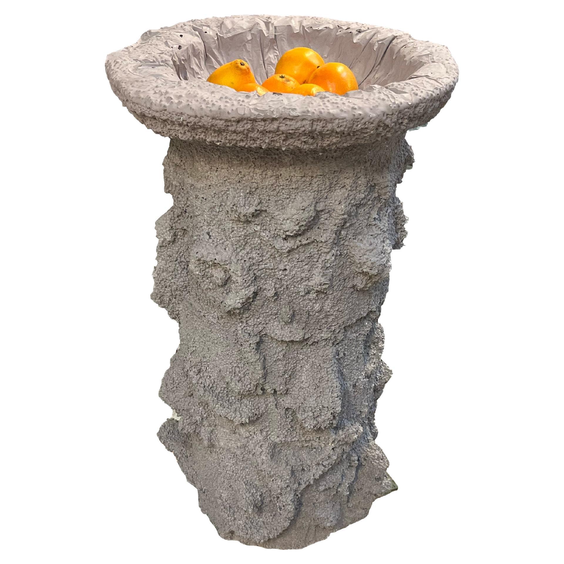 Bananenschale/ Vogel bad / Baptismal- Font