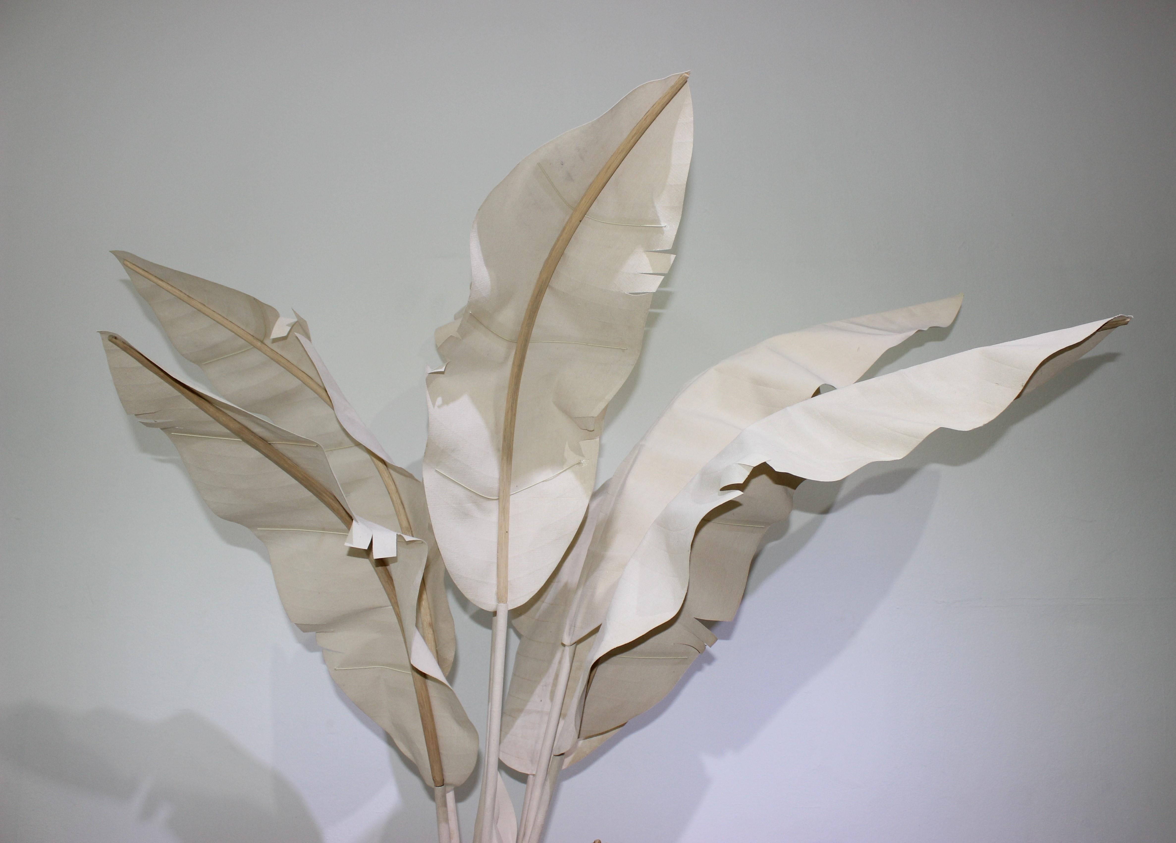 Italian Banana Tree in Canvas and Wood