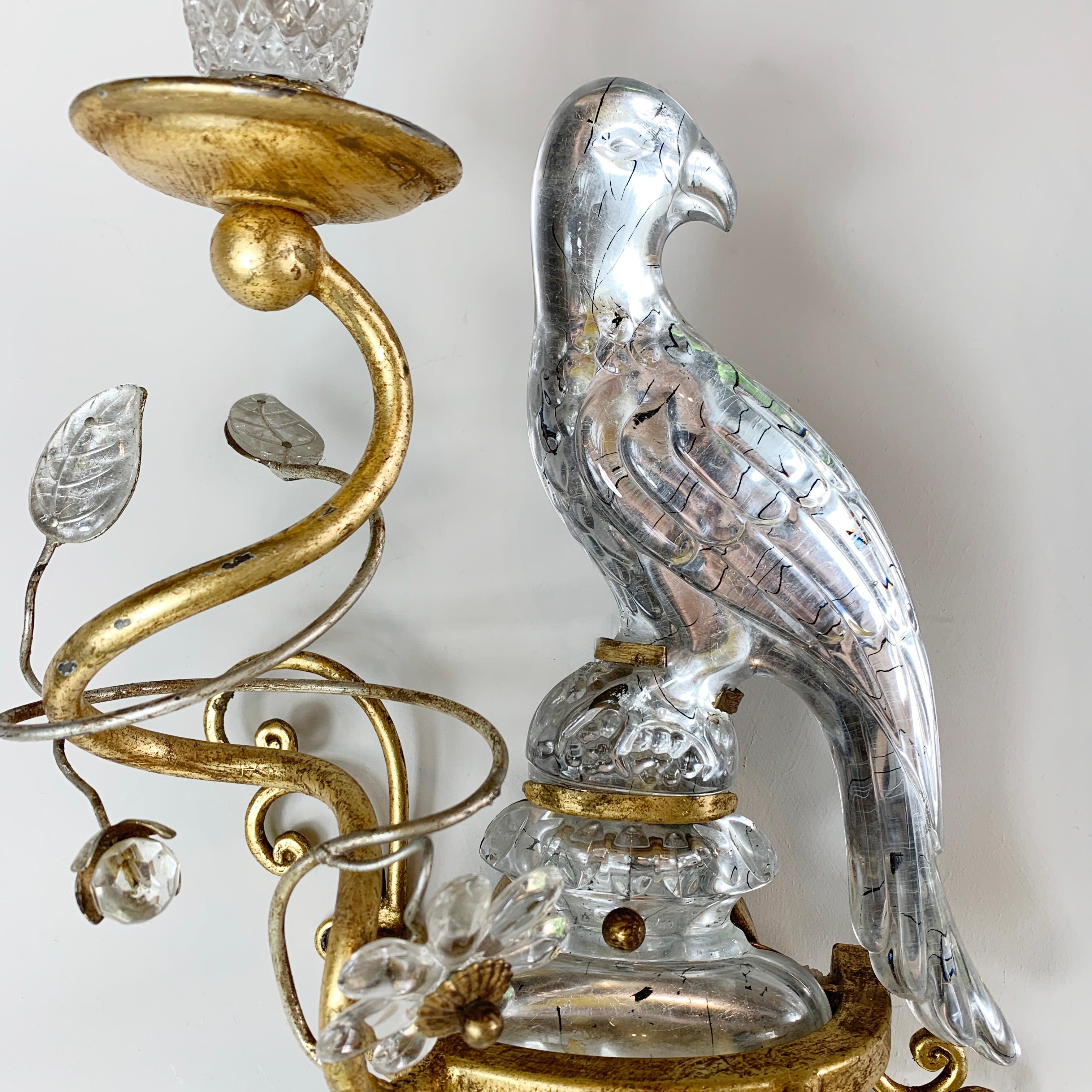 Banci Firenze Crystal and Gilt Parrot Wall Light In Good Condition In Hastings, GB