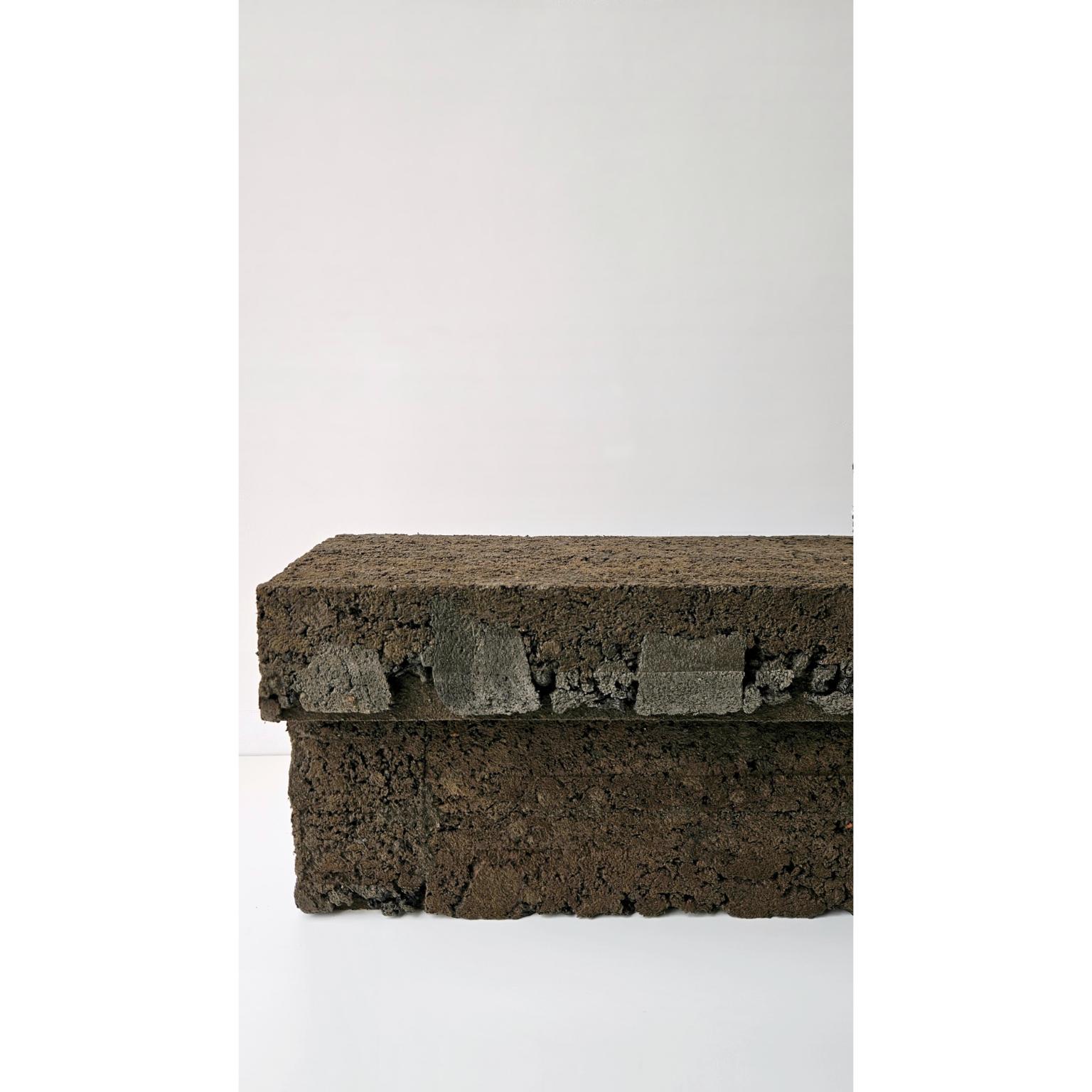 Post-Modern Banco Totora Bench by Domingos Tótora Estúdio For Sale