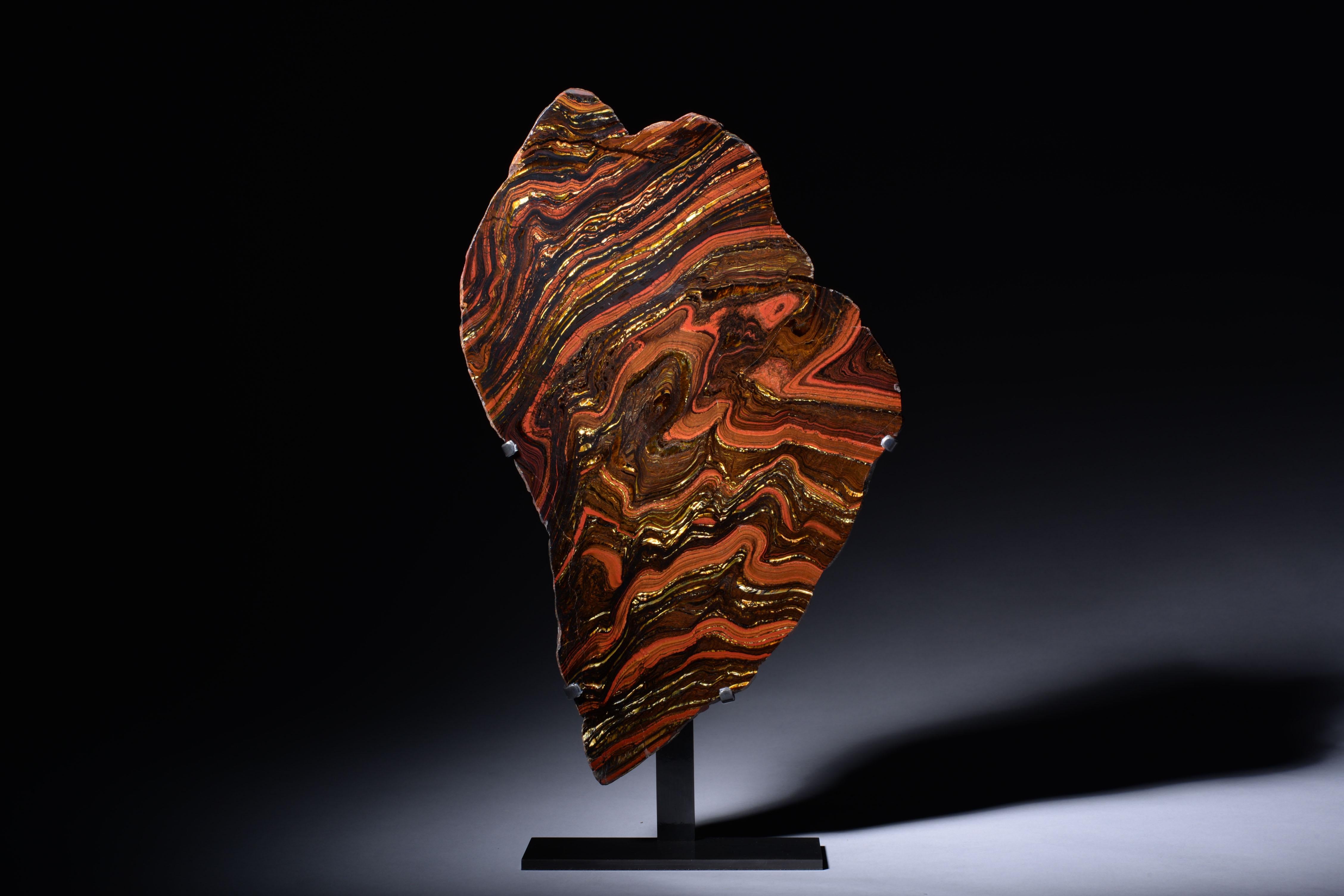 Banded Iron Fossil Formation
Circa 2.9 Billion y/o

This spectacular banded iron formation from Port Hedland, Western Australia, provides evidence of the earliest life on Earth: simple, single-celled bacteria inhabiting our ancient oceans. The