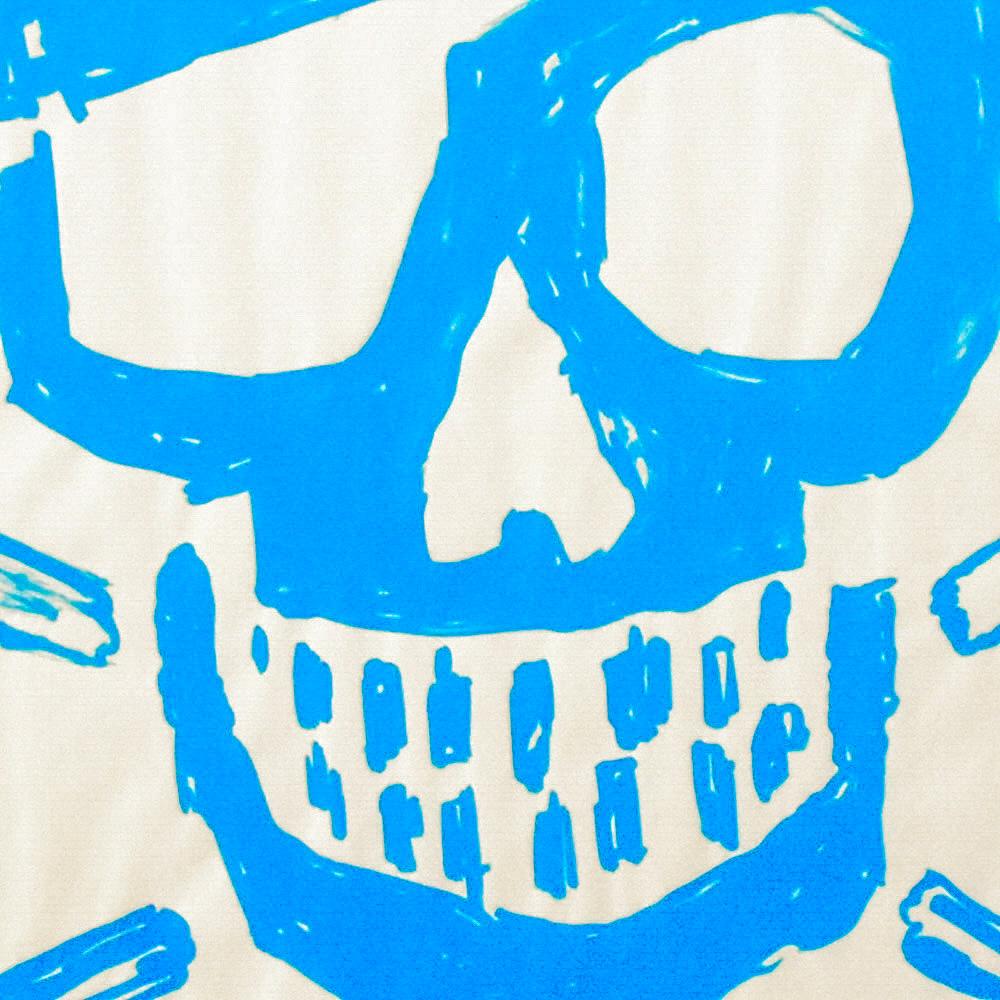 Skull Print (POW Logo Blue) For Sale 3