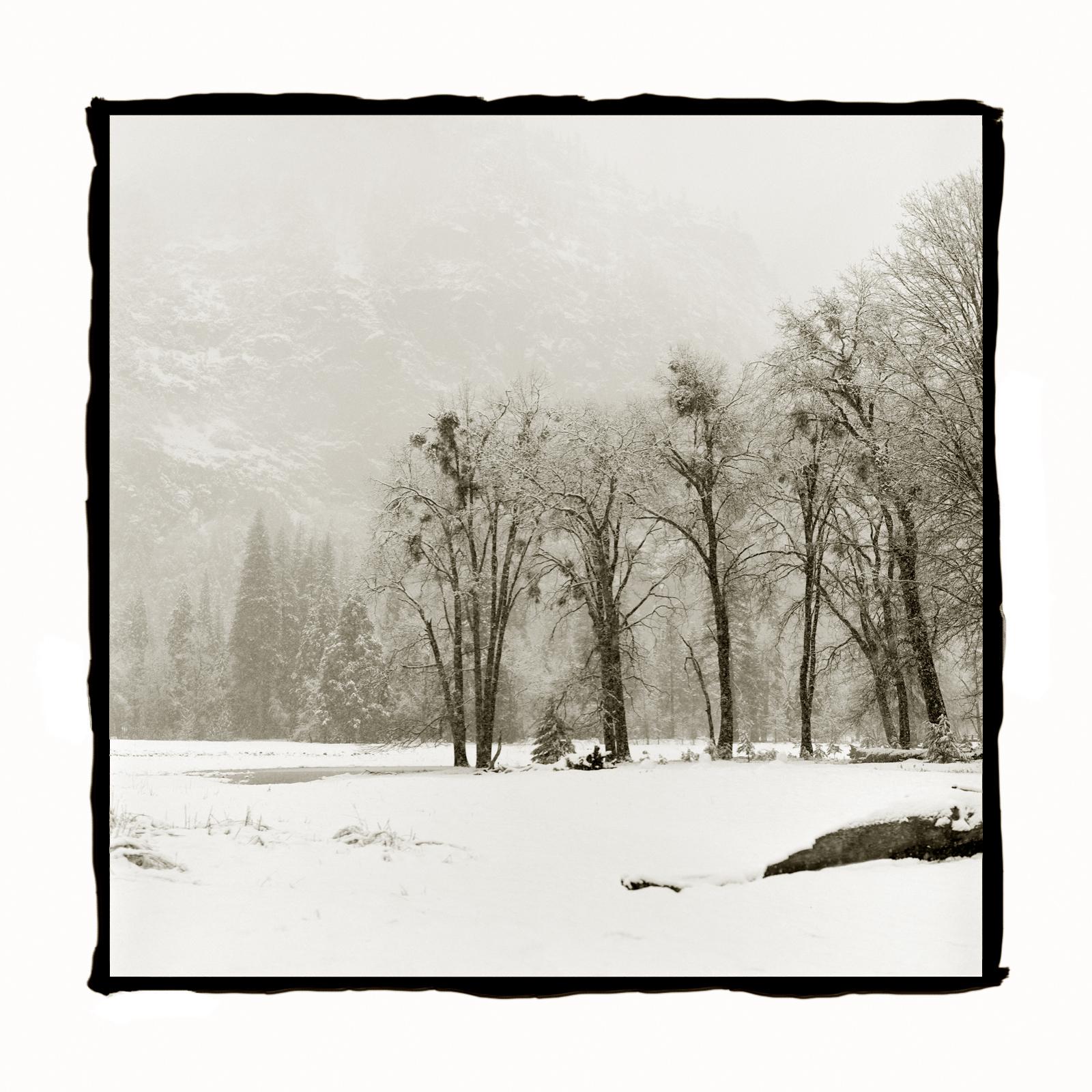 Barbara Ann Leideritz Black and White Photograph - First Valley Snow