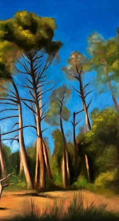 Pine Trees in the Summer 16" x 12"  Italian artist Florence Realism Landscape