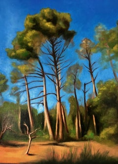 Pinos en Verano 16" x 12"  Artista italiano Florencia Realismo Paisaje