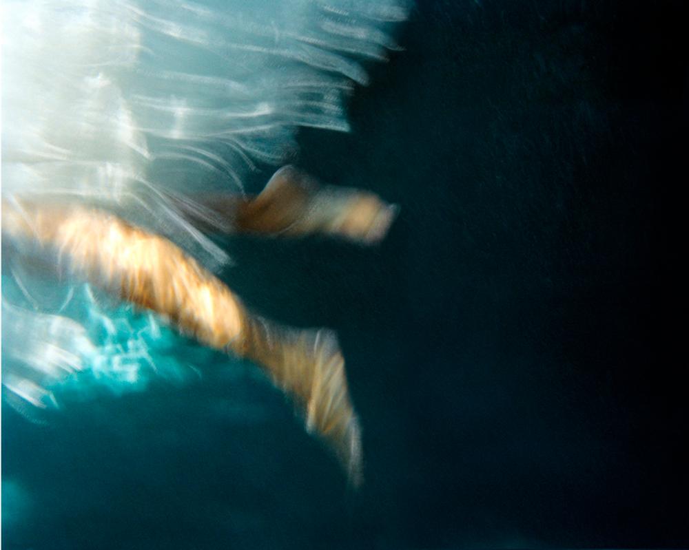 Edition of 5. Chromogenic Print Face-Mounted to Plexiglass, Back-Mounted to Hidden Aluminum Channel.

Cole is known for her sleek, plexiglass presentation style, which enhances the weightlessness of her underwater imagery. The artist's archival fine
