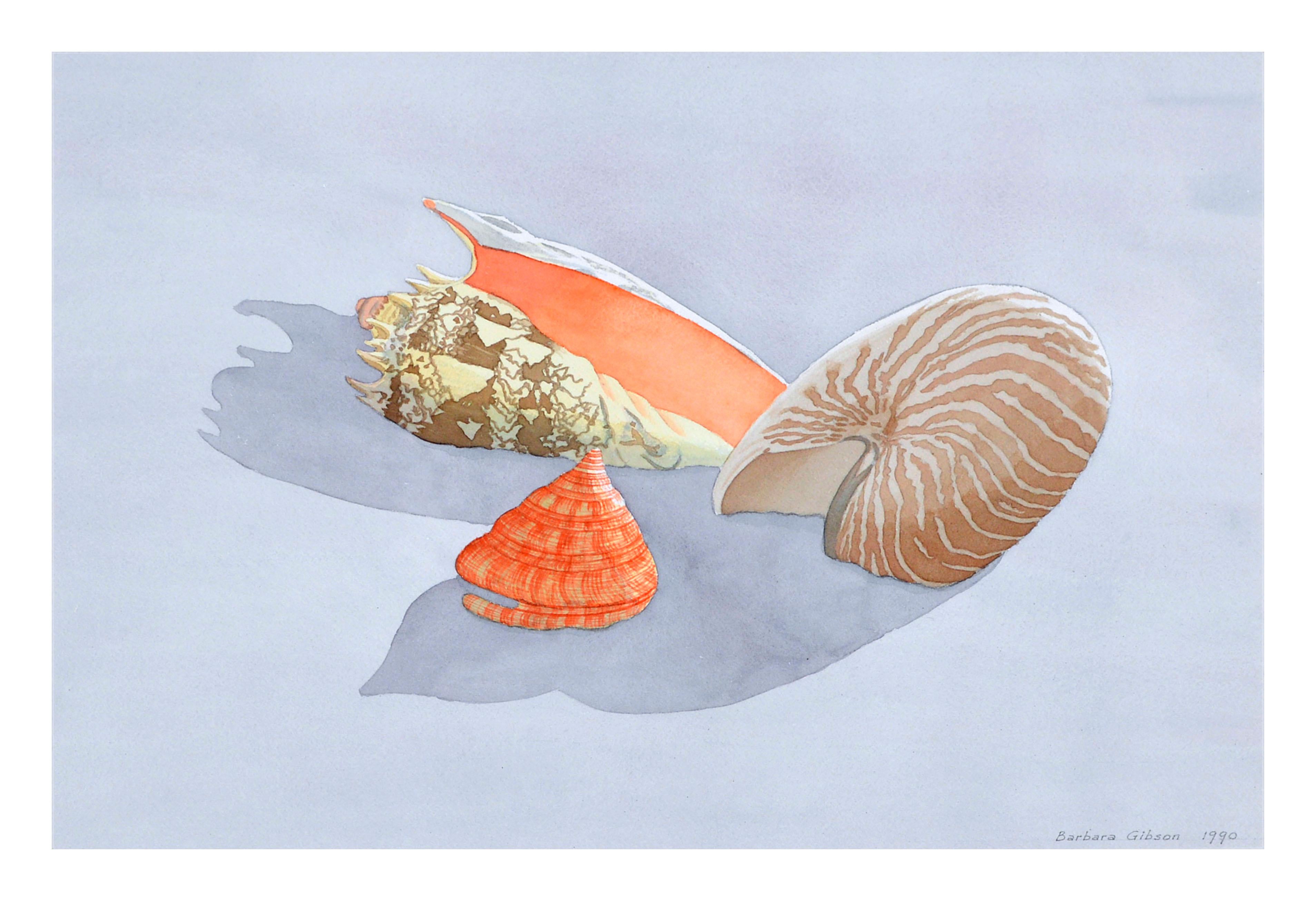 Seashell Still Life - Painting by Barbara Gibson