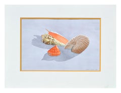 Vintage Seashell Still Life