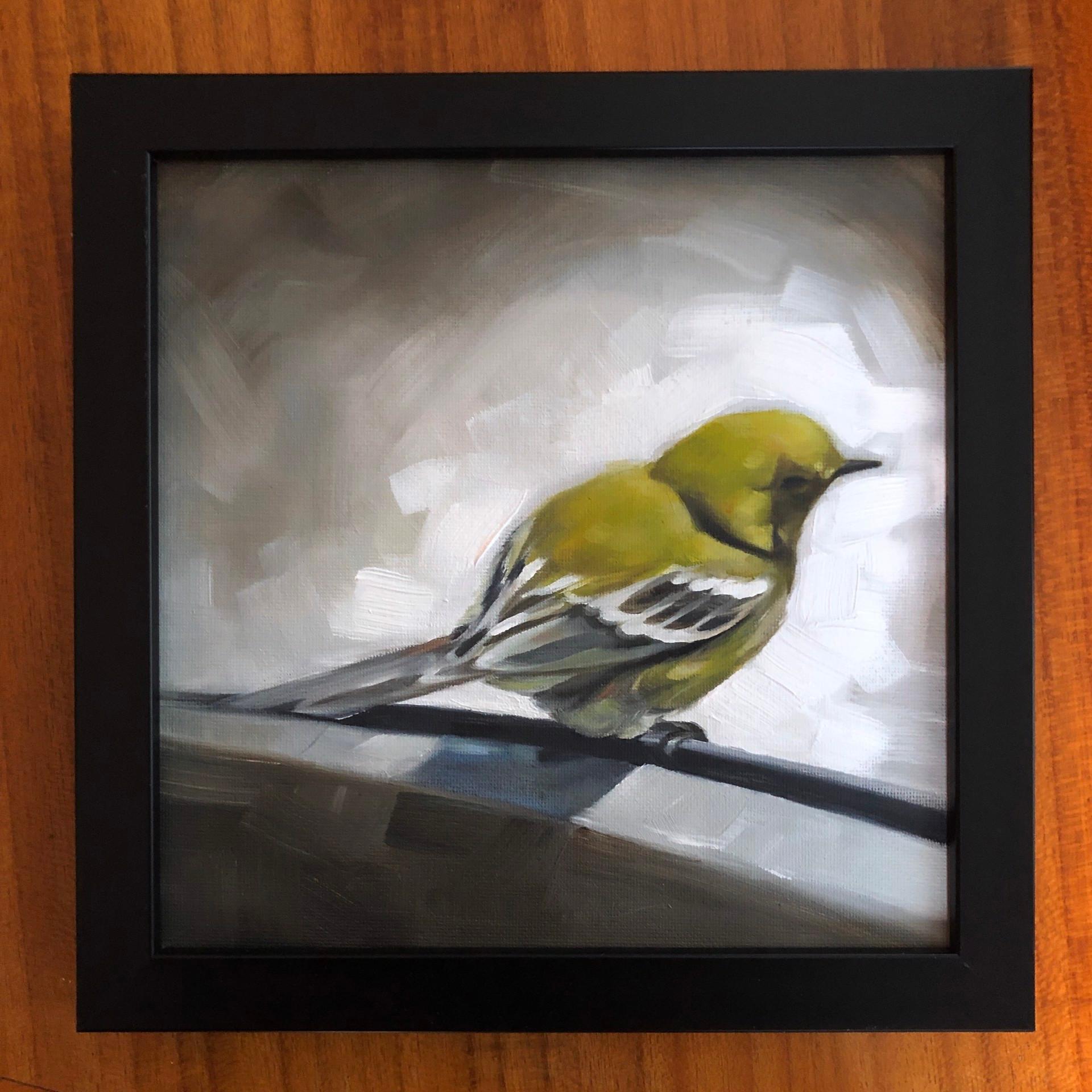 Bird Rest - Painting by Barbara Hack