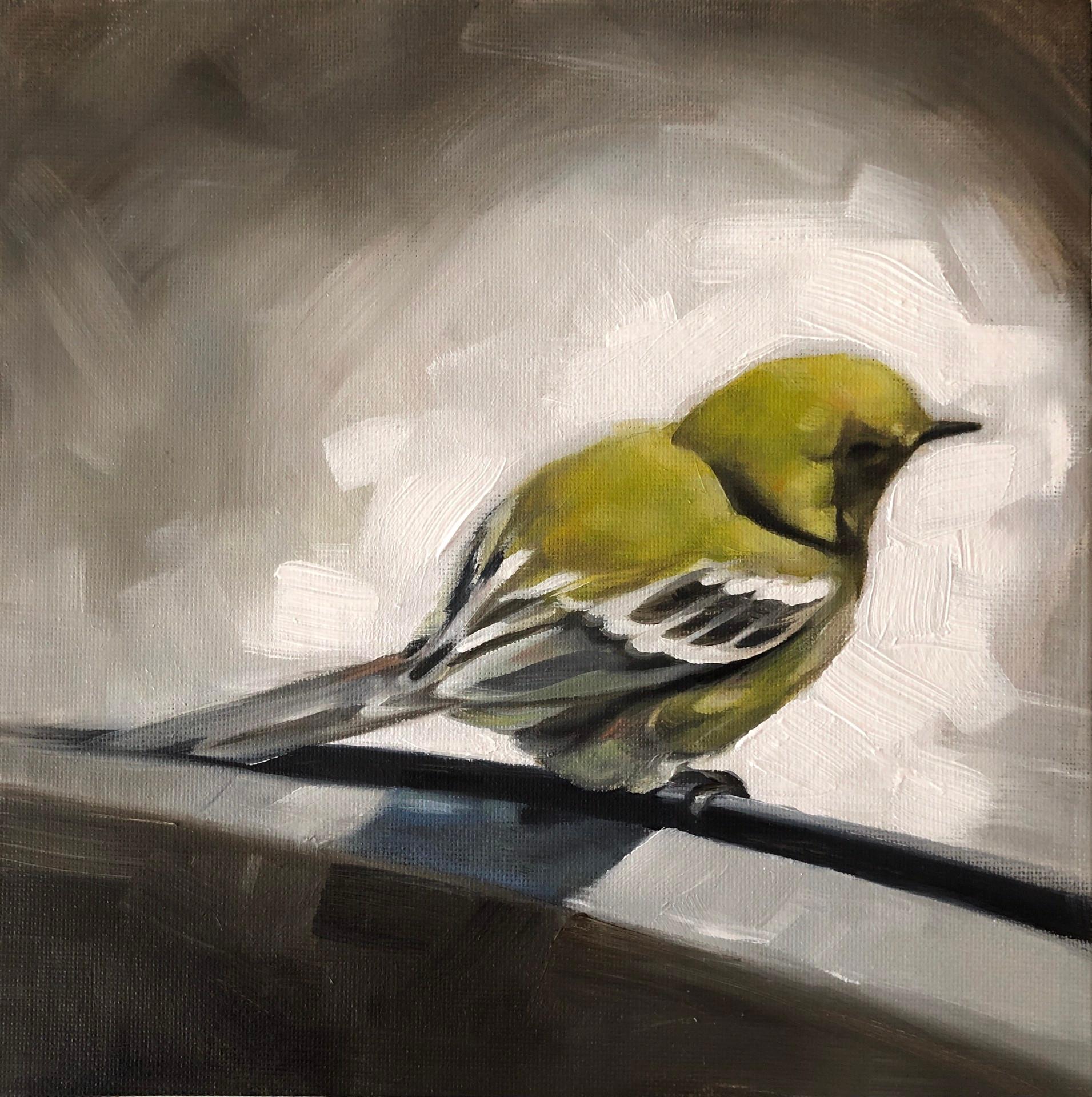 Barbara Hack Figurative Painting - Bird Rest