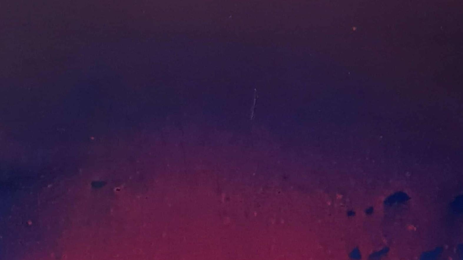 Ende des Sommers 2. Zeitgenössische Öl-Landschaftsmalerei, polnischer Künstler – Painting von Barbara Hubert