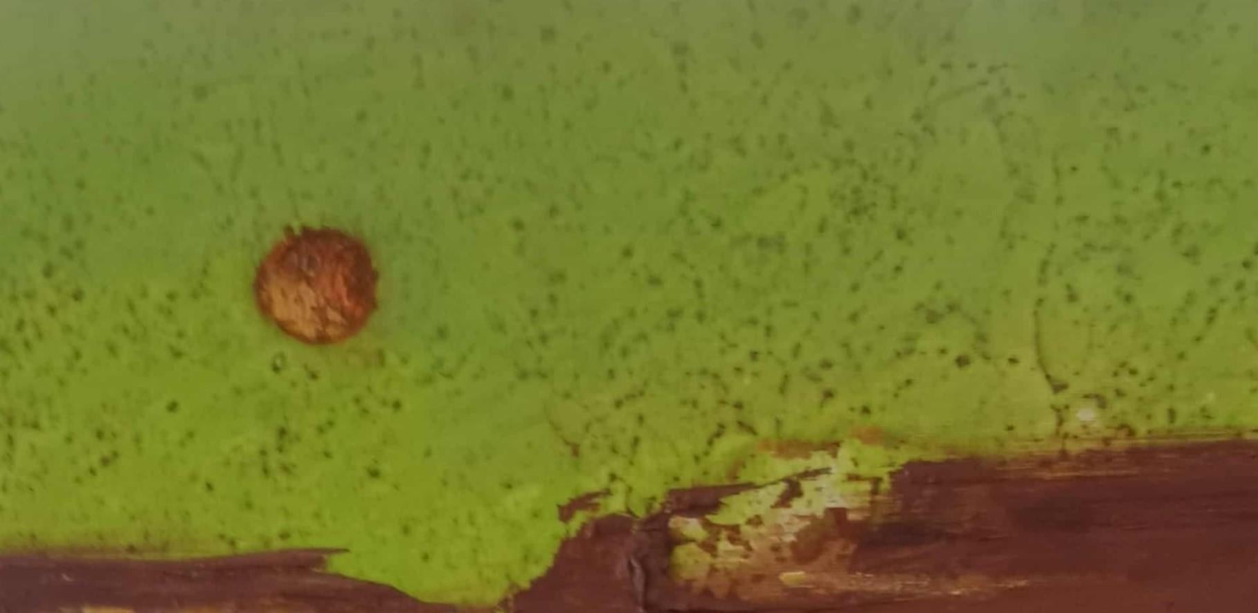 Ende des Sommers 3. Zeitgenössische Öl-Landschaftsmalerei, polnischer Künstler – Painting von Barbara Hubert