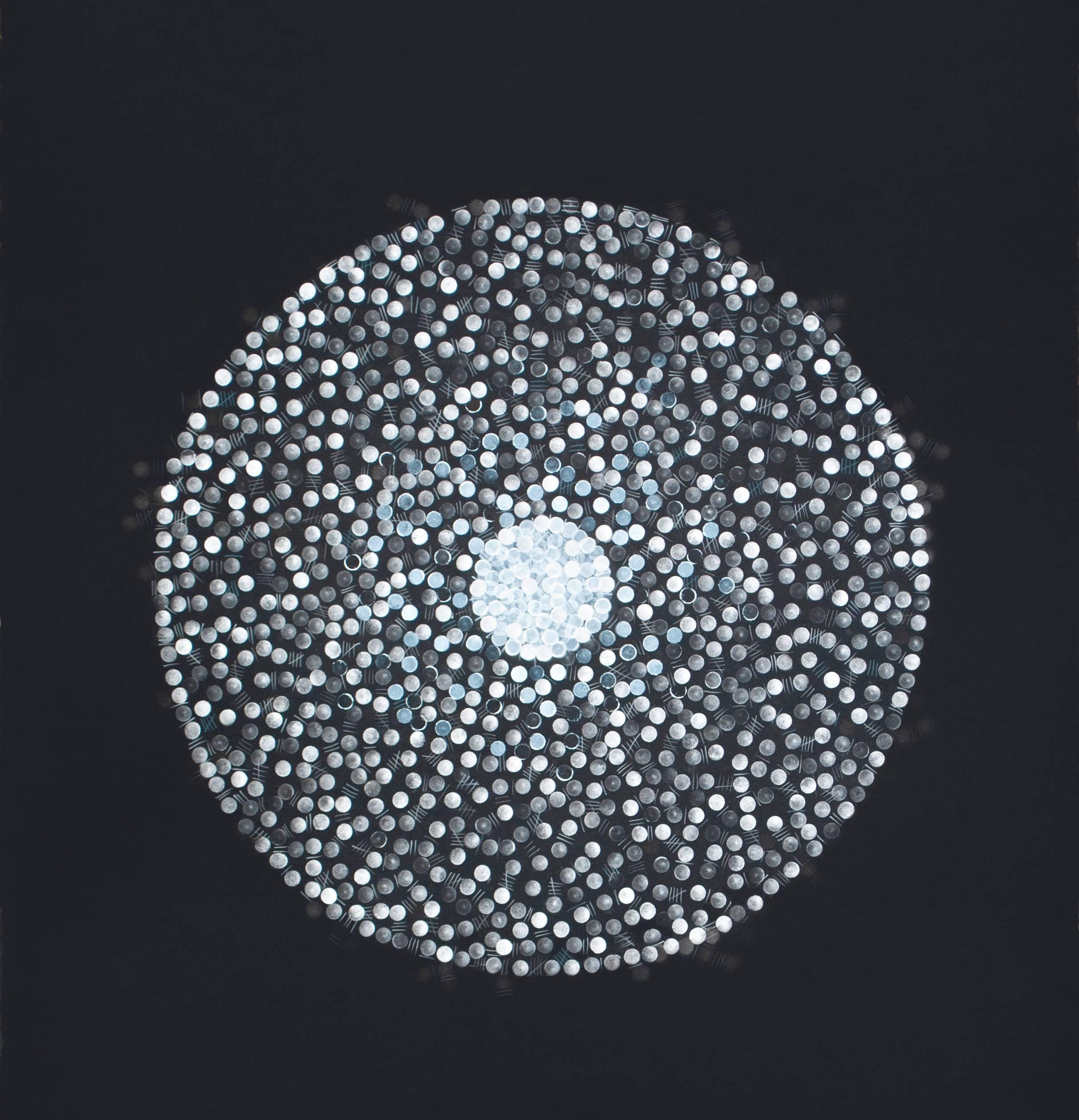 Barbara Kolo’s one-of-a-kind painting consists of a collection of dots and lines, carefully placed with silver ink on paper.  By applying hundreds of small, distinct dots of ink in a pattern to form the image of a unique shape, Kolo relies on the