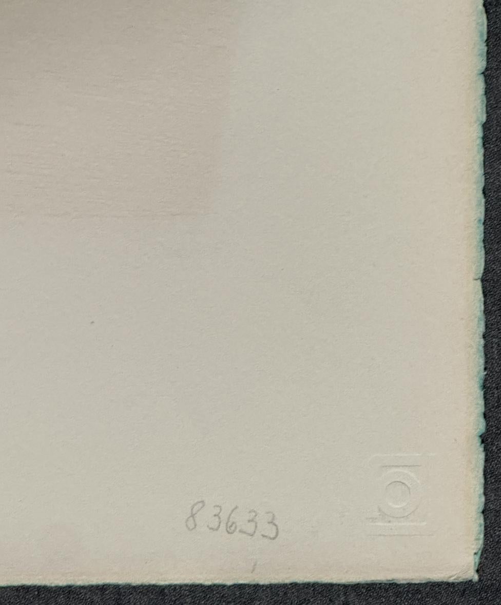 Anadyomine 1969 Grabado firmado de edición limitada en venta 2