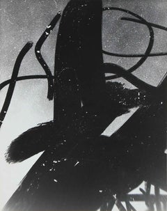 "Smoked Glass" Framed Abstract Black and White Photograph, 1969