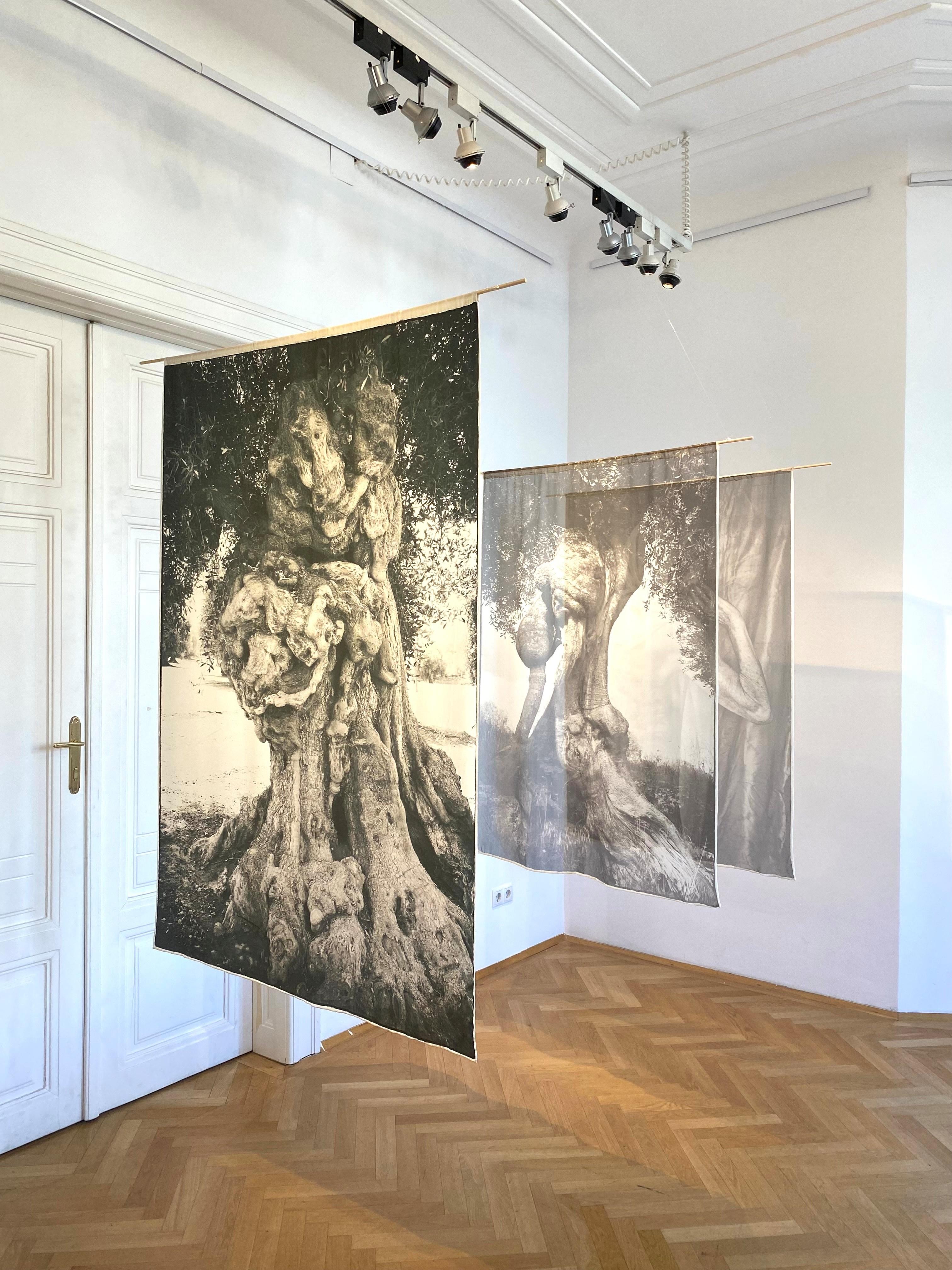 Brigitta 2 – Photograph von Barbara Luisi