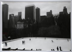 Exposition n° 19 : New York, Central Park, 01/04/03, 9 h 36. Diptyque de Barbara Probst
