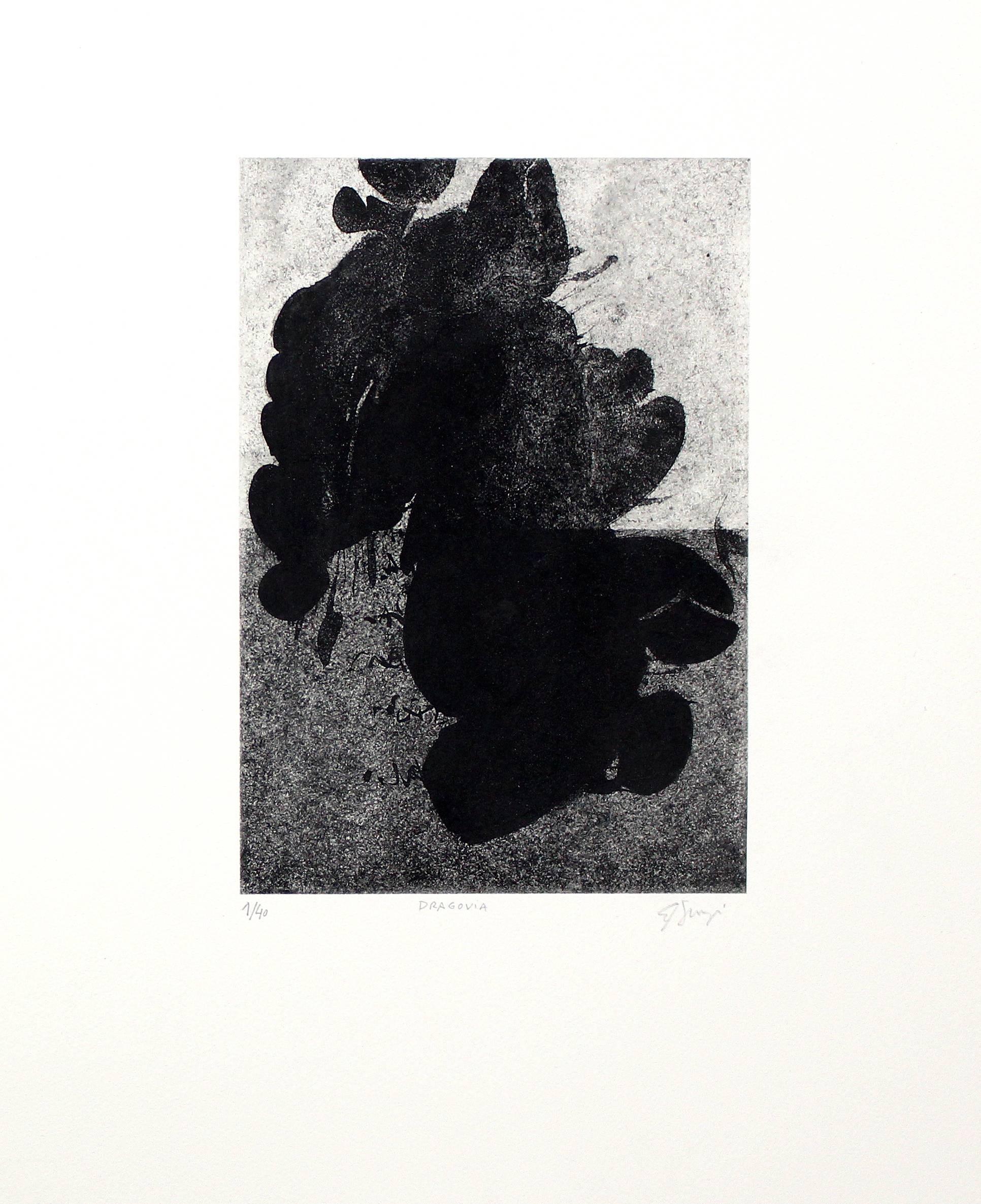 Barbara Shunyi Abstract Print - Dragovia I