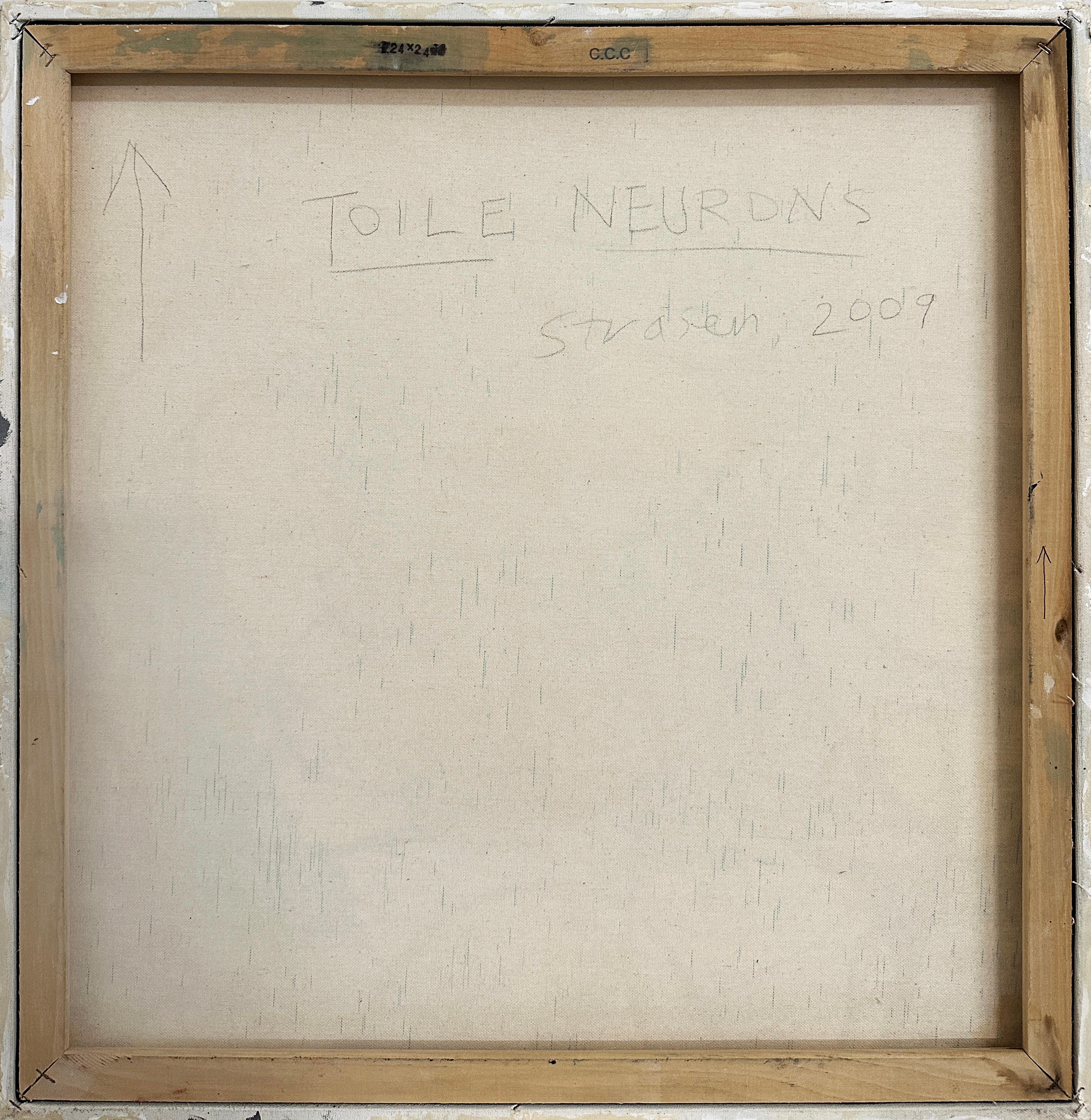 TOILE NEURONS, gris, pastel, amarillo, azul, estampado en venta 5