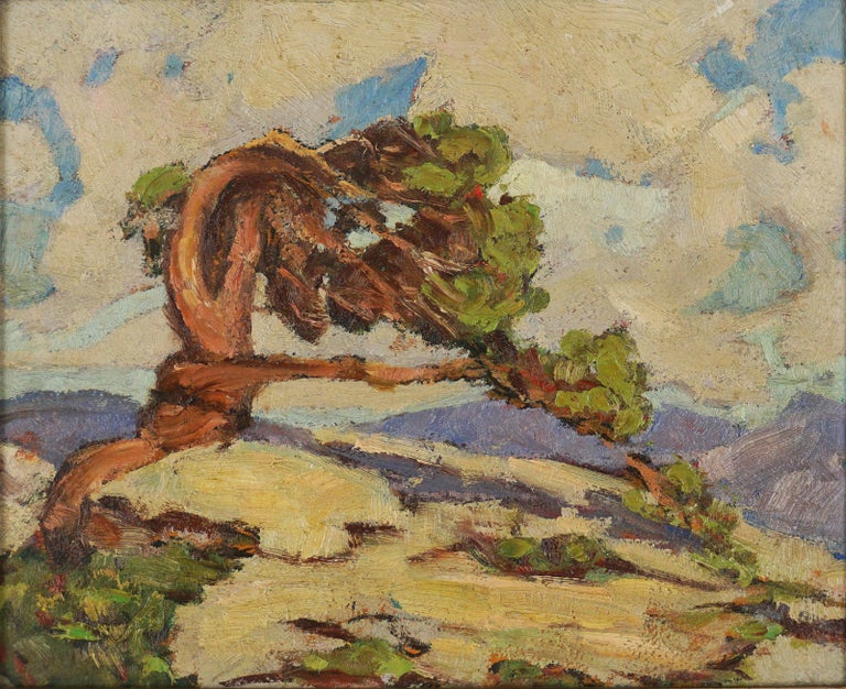 Small 1940s California Plein Air Landscape -- Lone Cypress - Painting by Barbara Tucker
