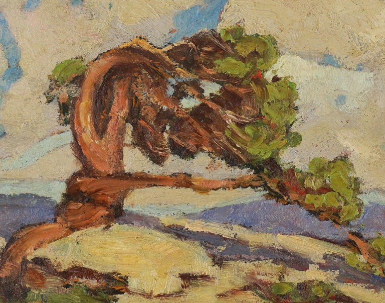 Small 1940s California Plein Air Landscape -- Lone Cypress - American Impressionist Painting by Barbara Tucker