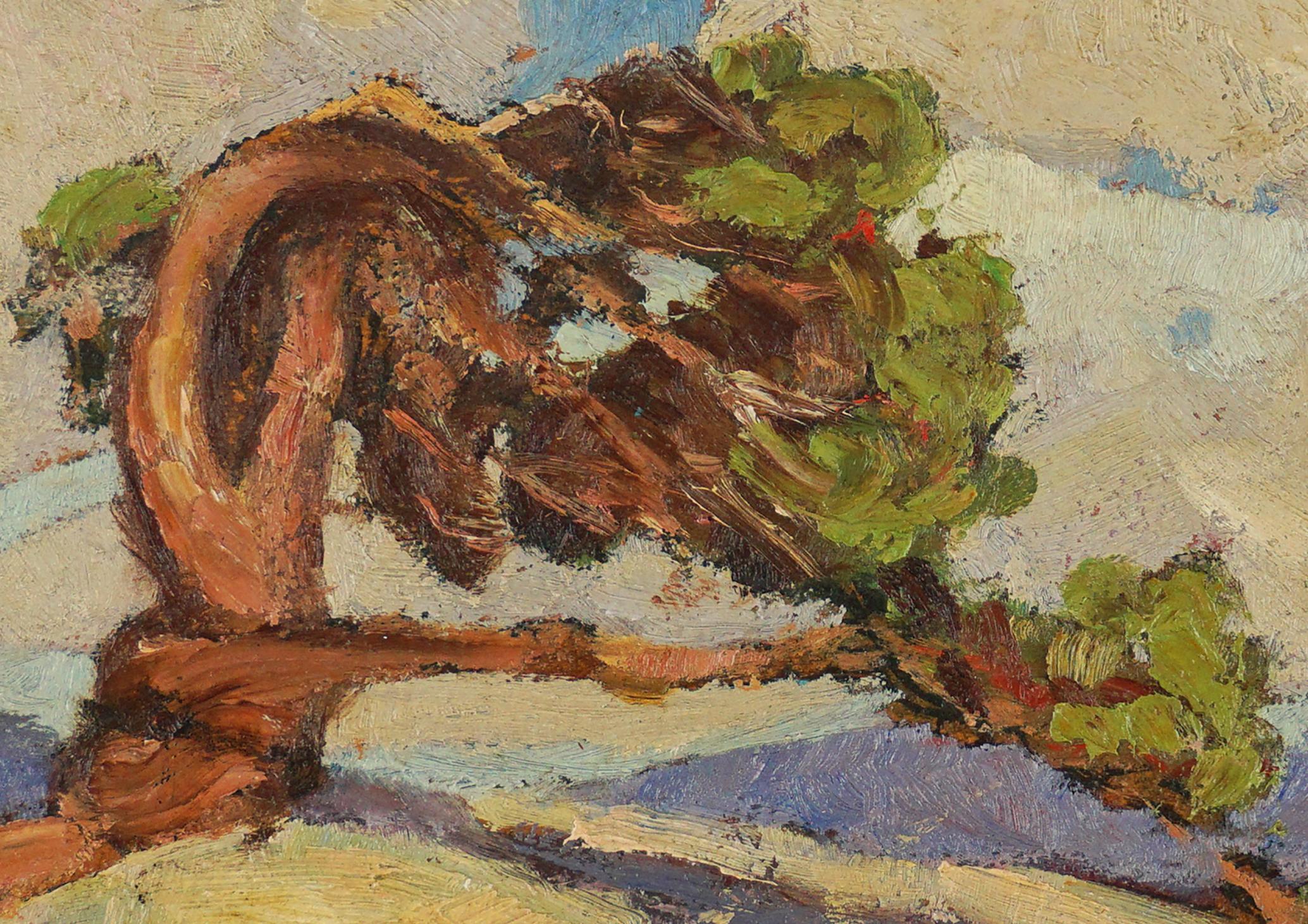 Small 1940s California Plein Air Landscape -- Lone Cypress 1