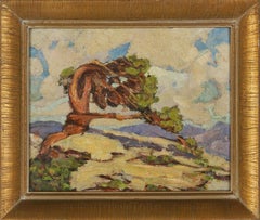 Small 1940s California Plein Air Landscape -- Lone Cypress
