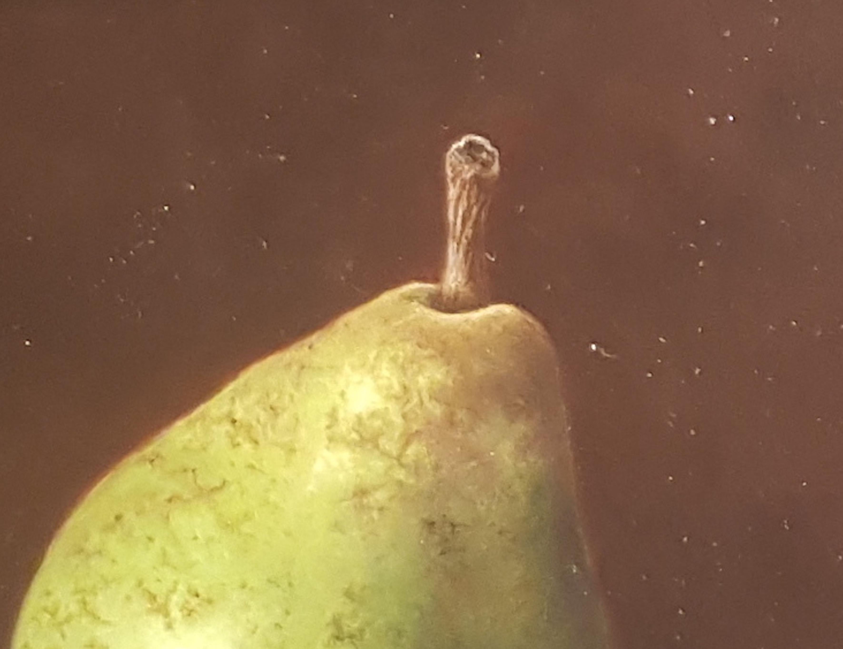 Contemporary Realist Still-Life 'Pear & Antique Glass' by Barbara Vanhove For Sale 2