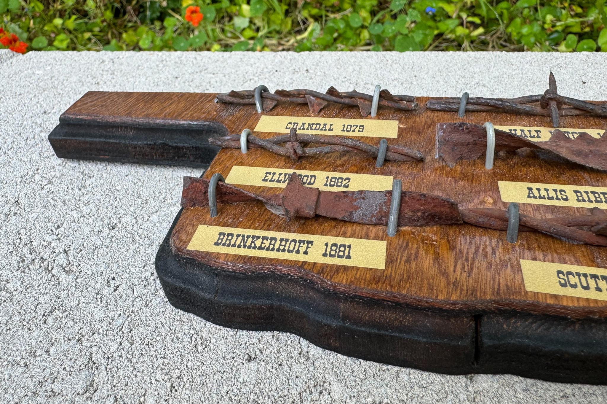 Barbed Draht-Kollektion / Display montiert auf einer Oklahoma-förmigen Plakette im Angebot 3