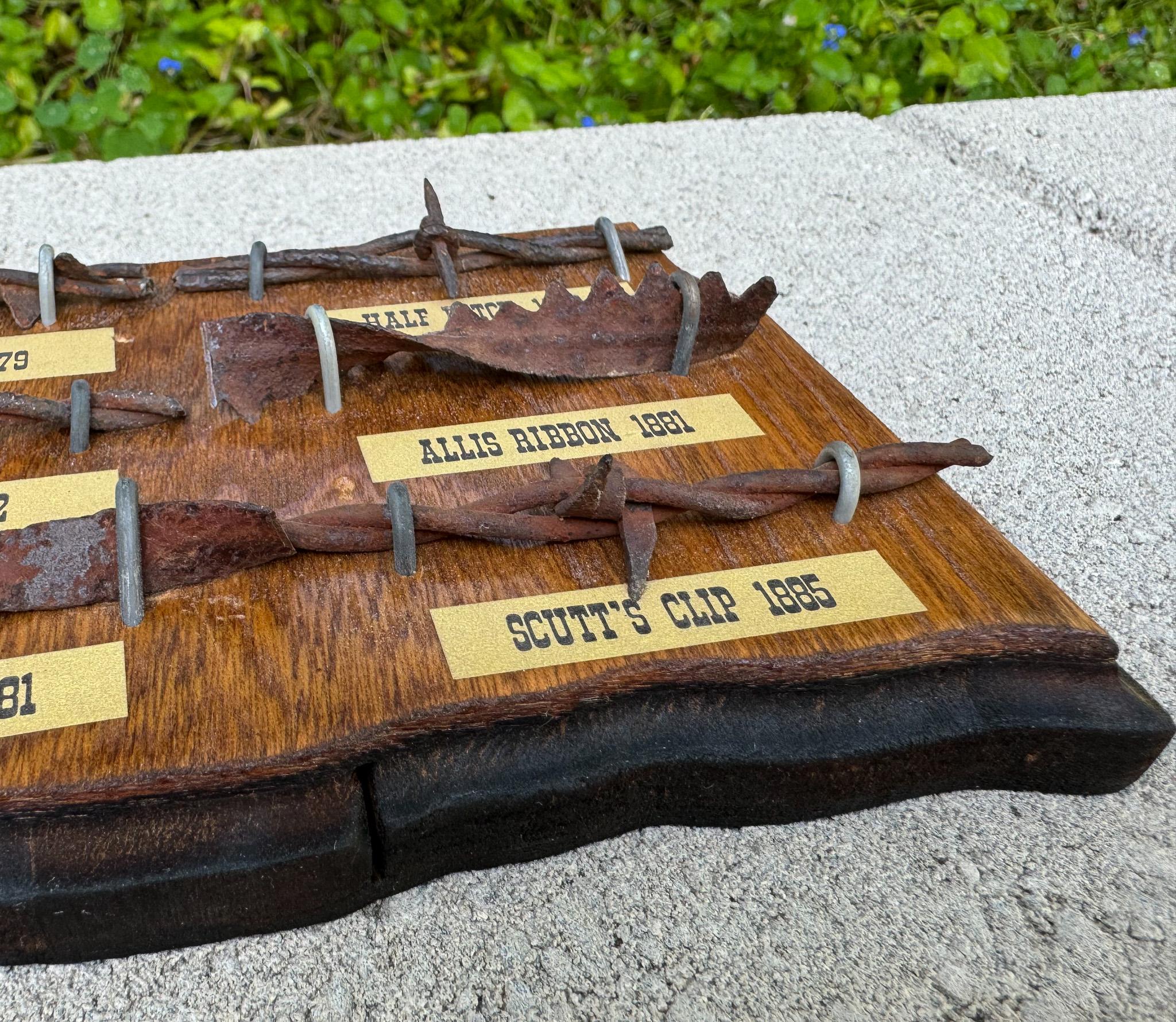Barbed Draht-Kollektion / Display montiert auf einer Oklahoma-förmigen Plakette im Angebot 2