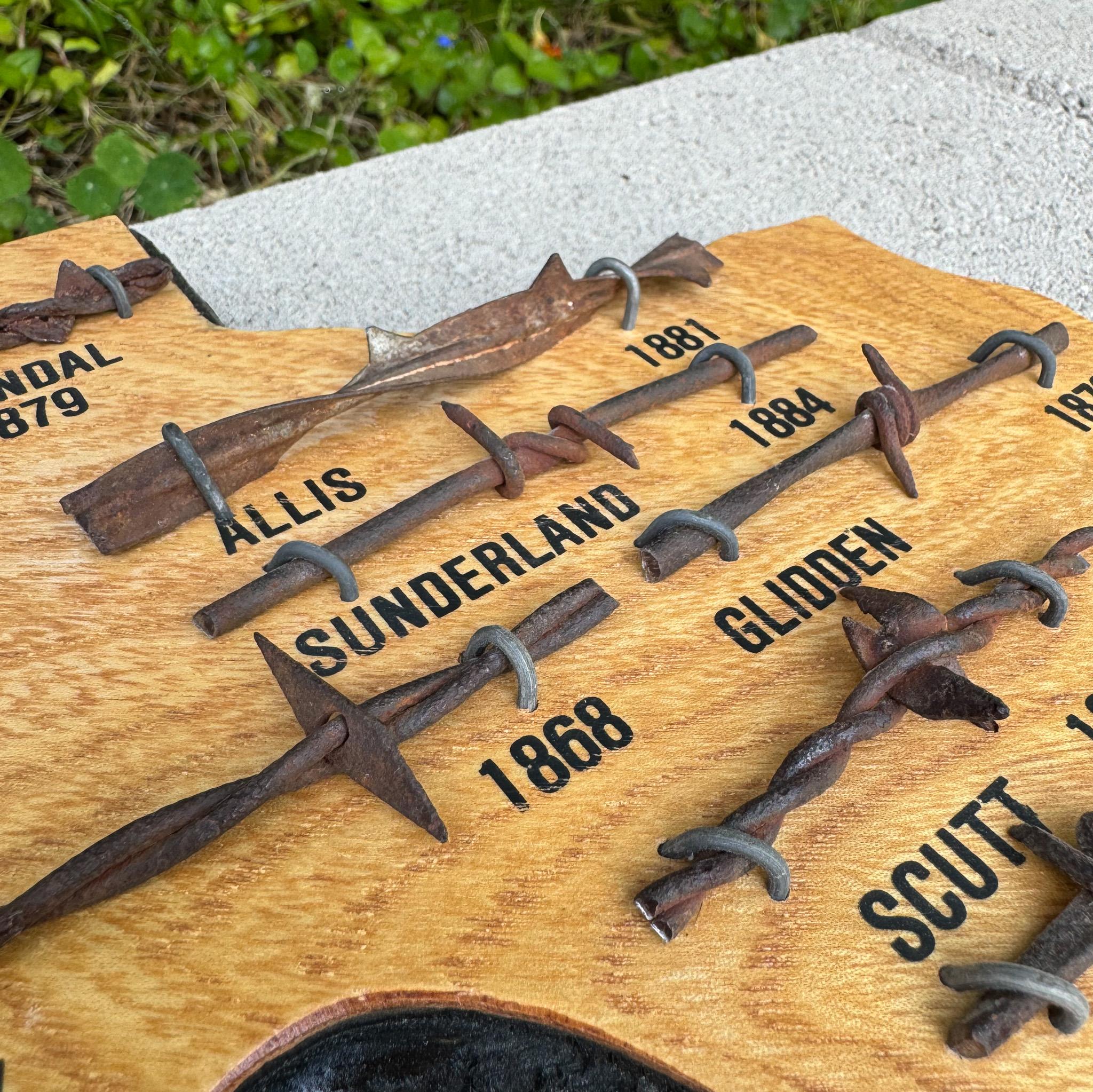 20th Century Barbed Wire Collection / Display Mounted on a Texas Shaped Plaque For Sale