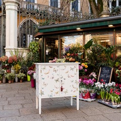 Barberini Small Chalky White with Butterflies Cabinet