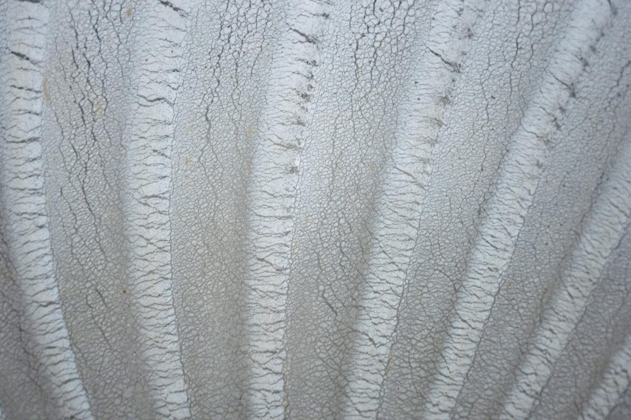 Lampada da soffitto in vetro di Murano Barbini, Italia anni '80 in vendita 3