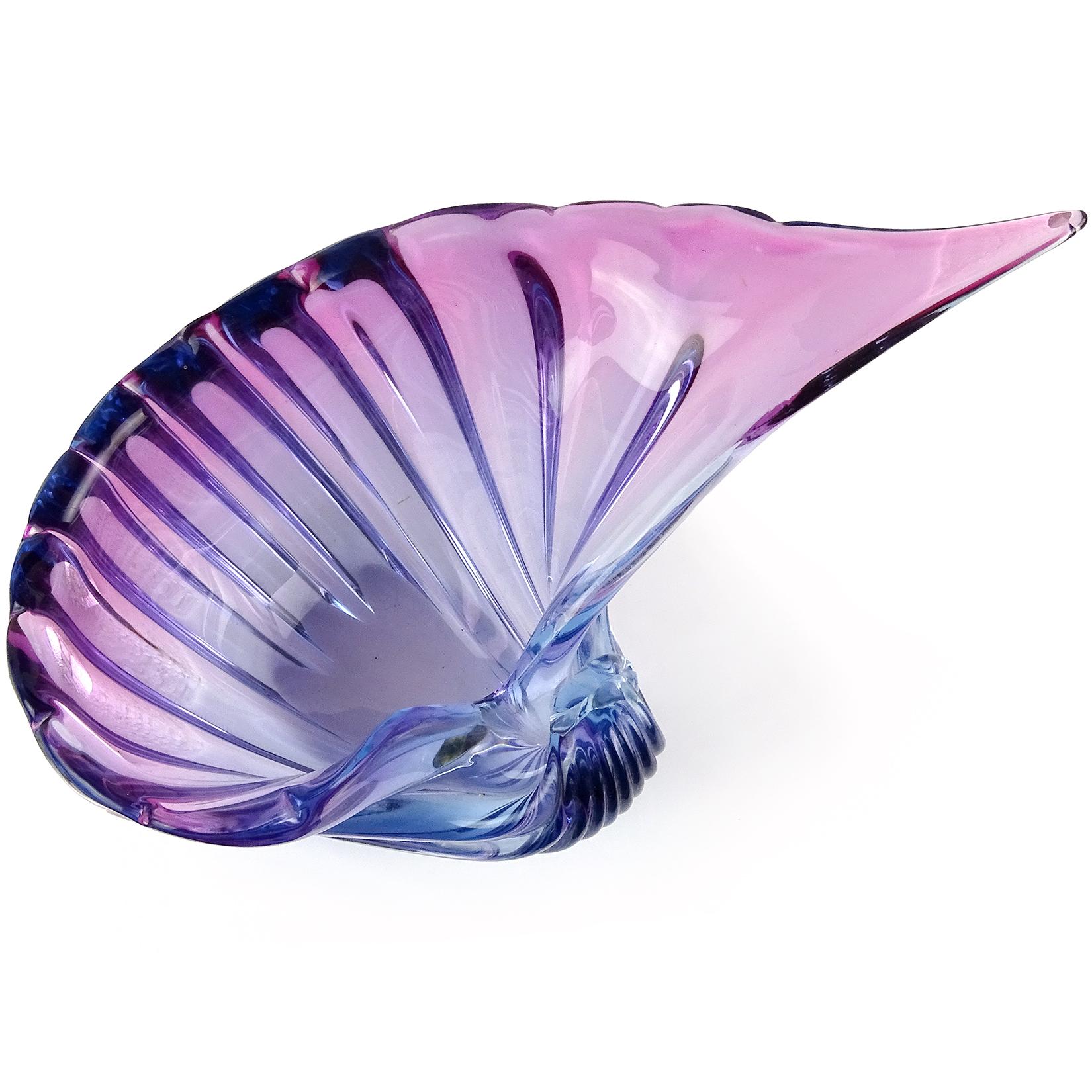 purple conch shell