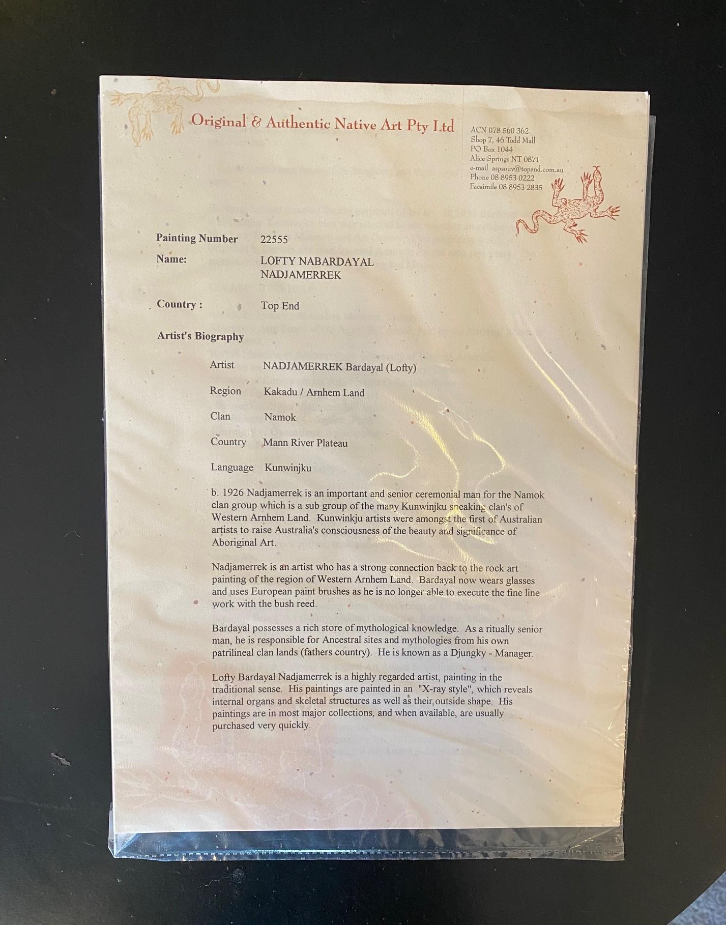 Bardayal Nadjamerrek Art aborigène australien Peinture originale sur écorce en vente 9